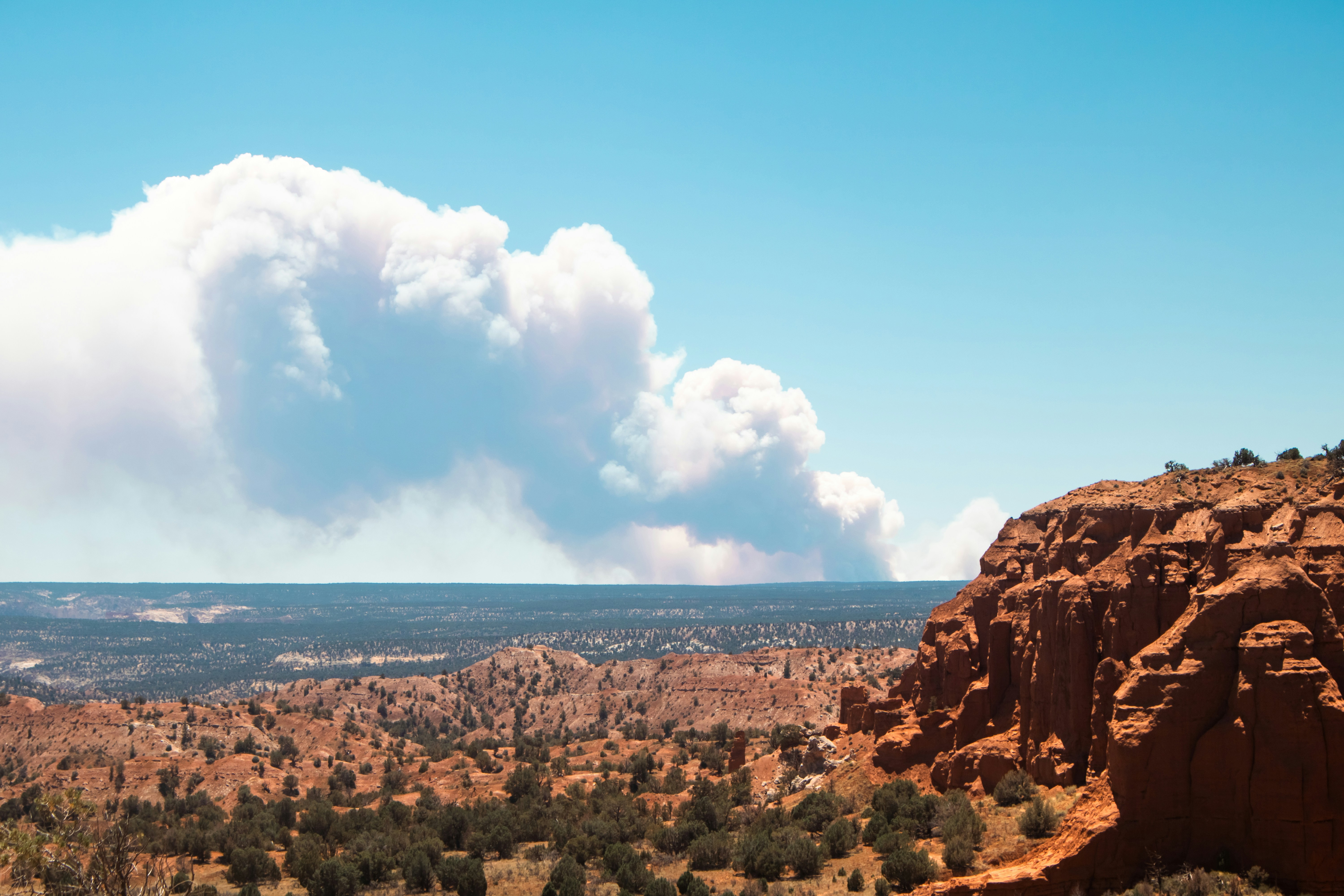 Photo by zoshuacolah