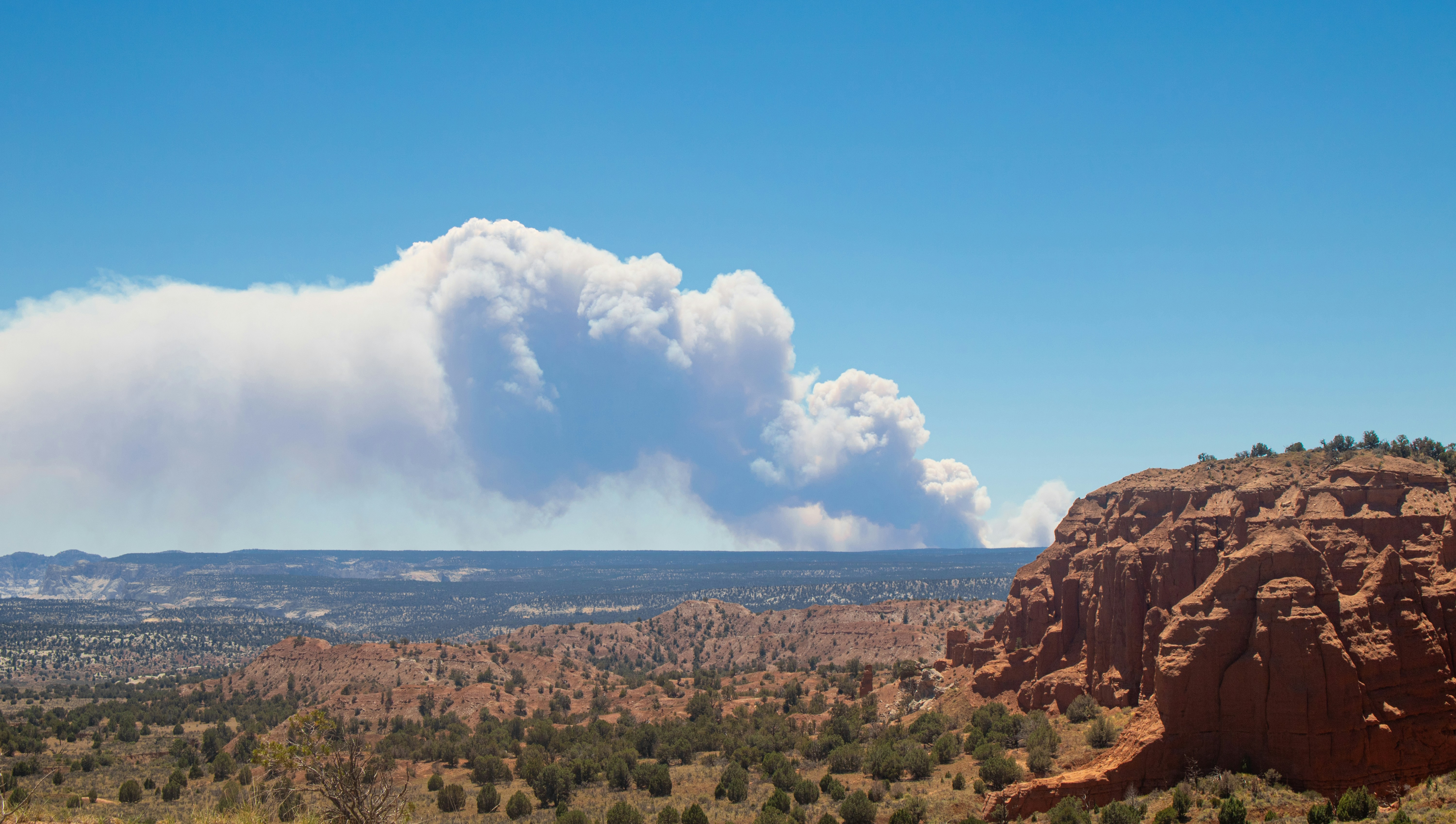 Photo by zoshuacolah