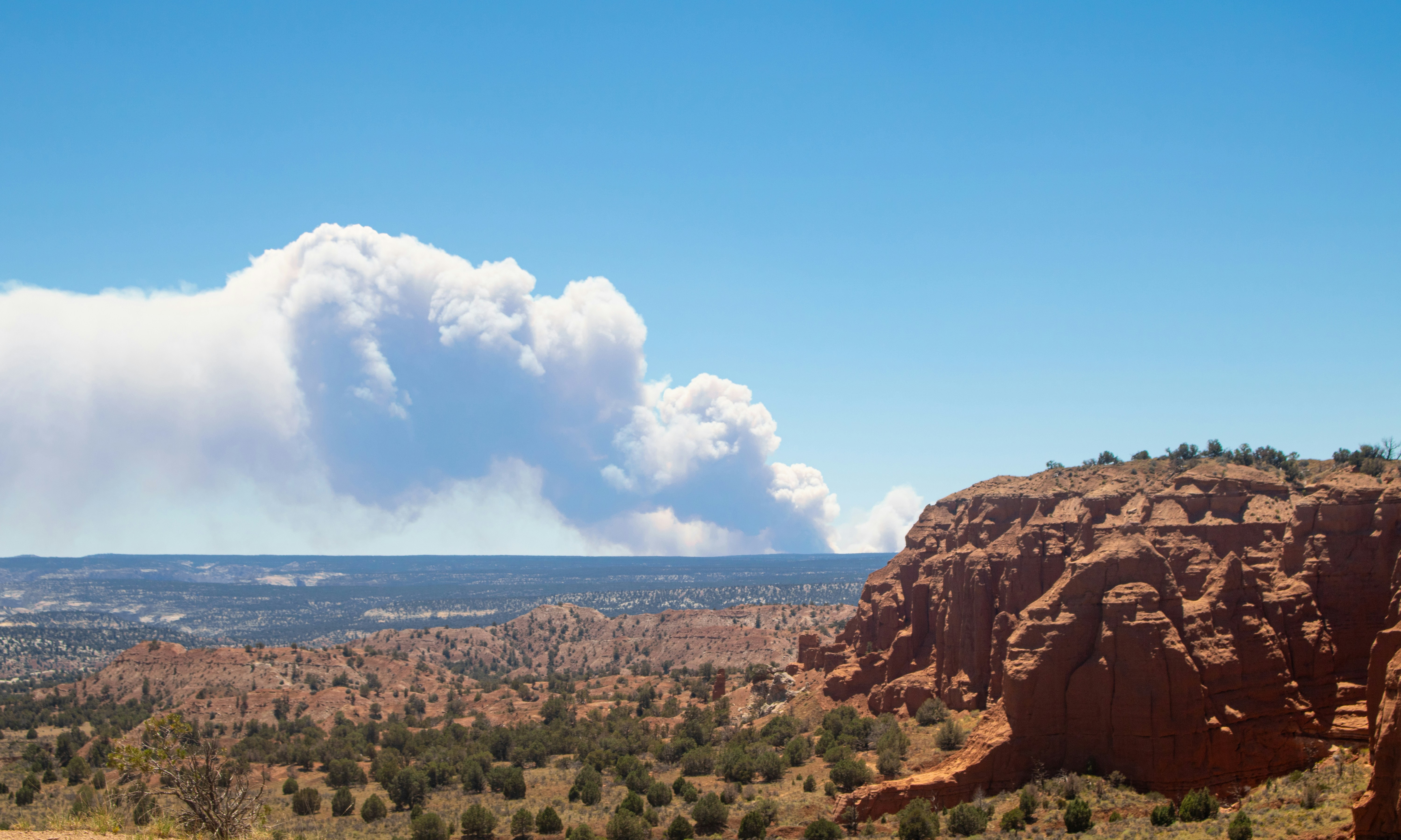 forest fire wallpaper, wallpaper, Forest Health and Fire: A Natural Relationship 5