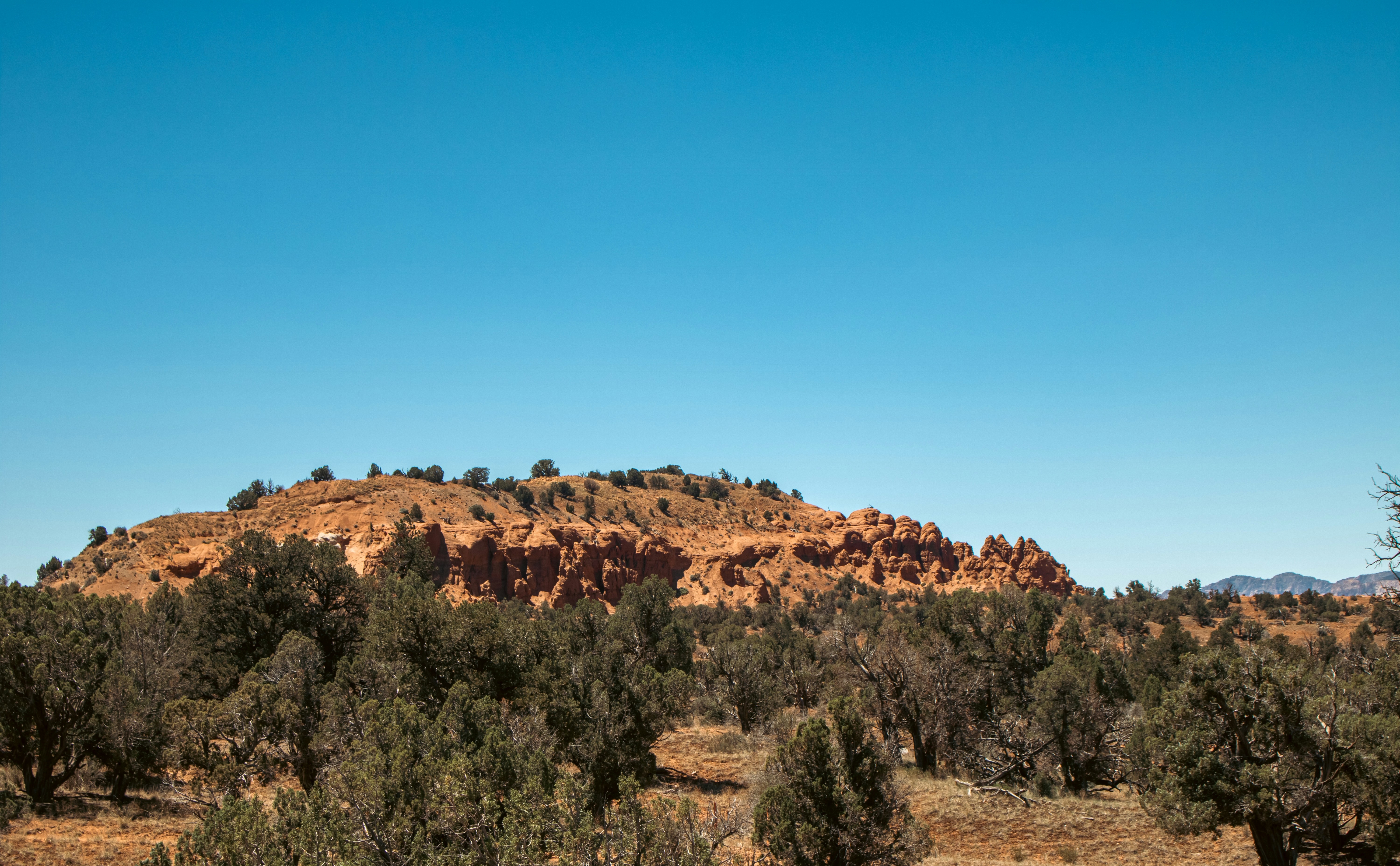 Photo by zoshuacolah