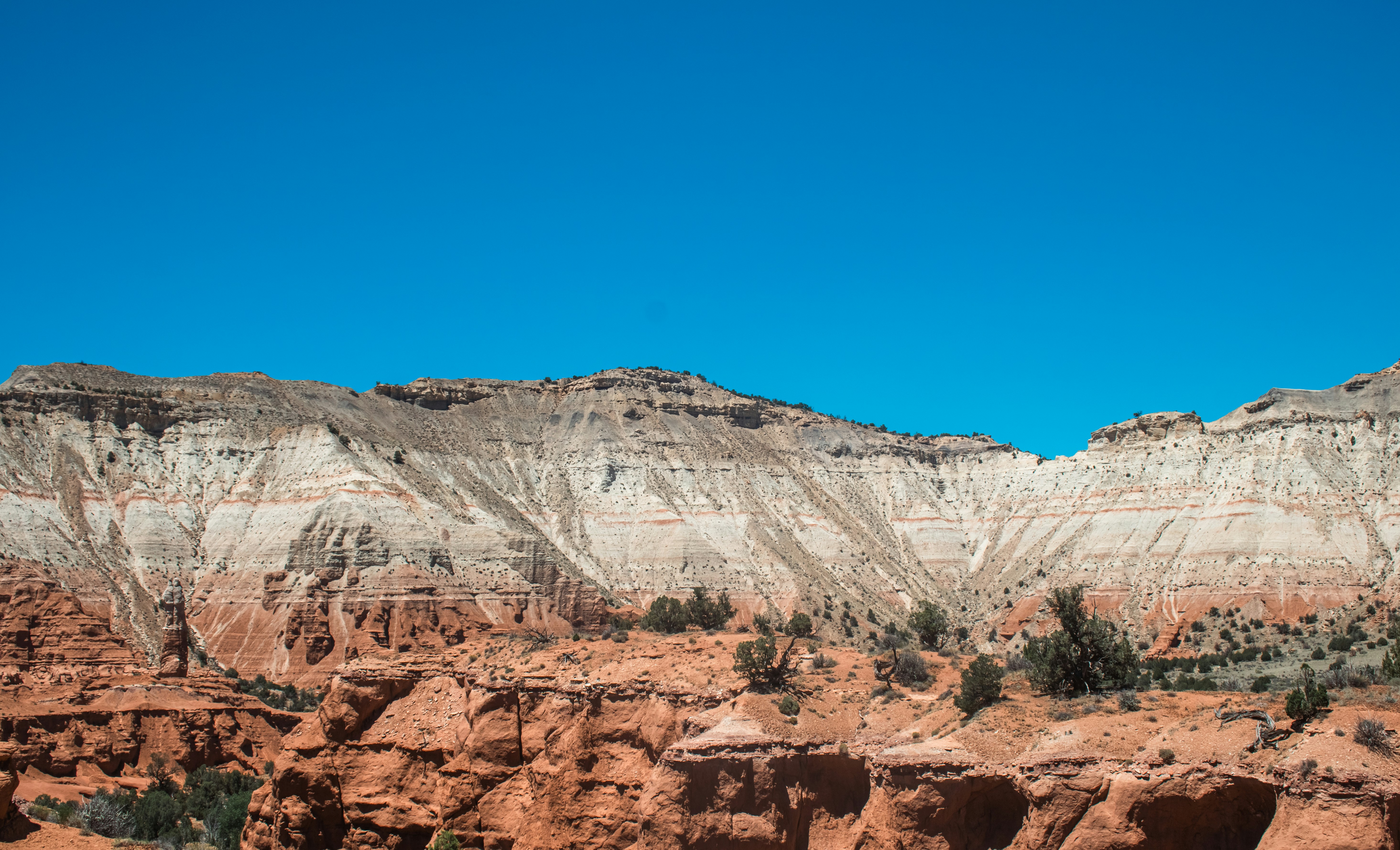 Photo by zoshuacolah