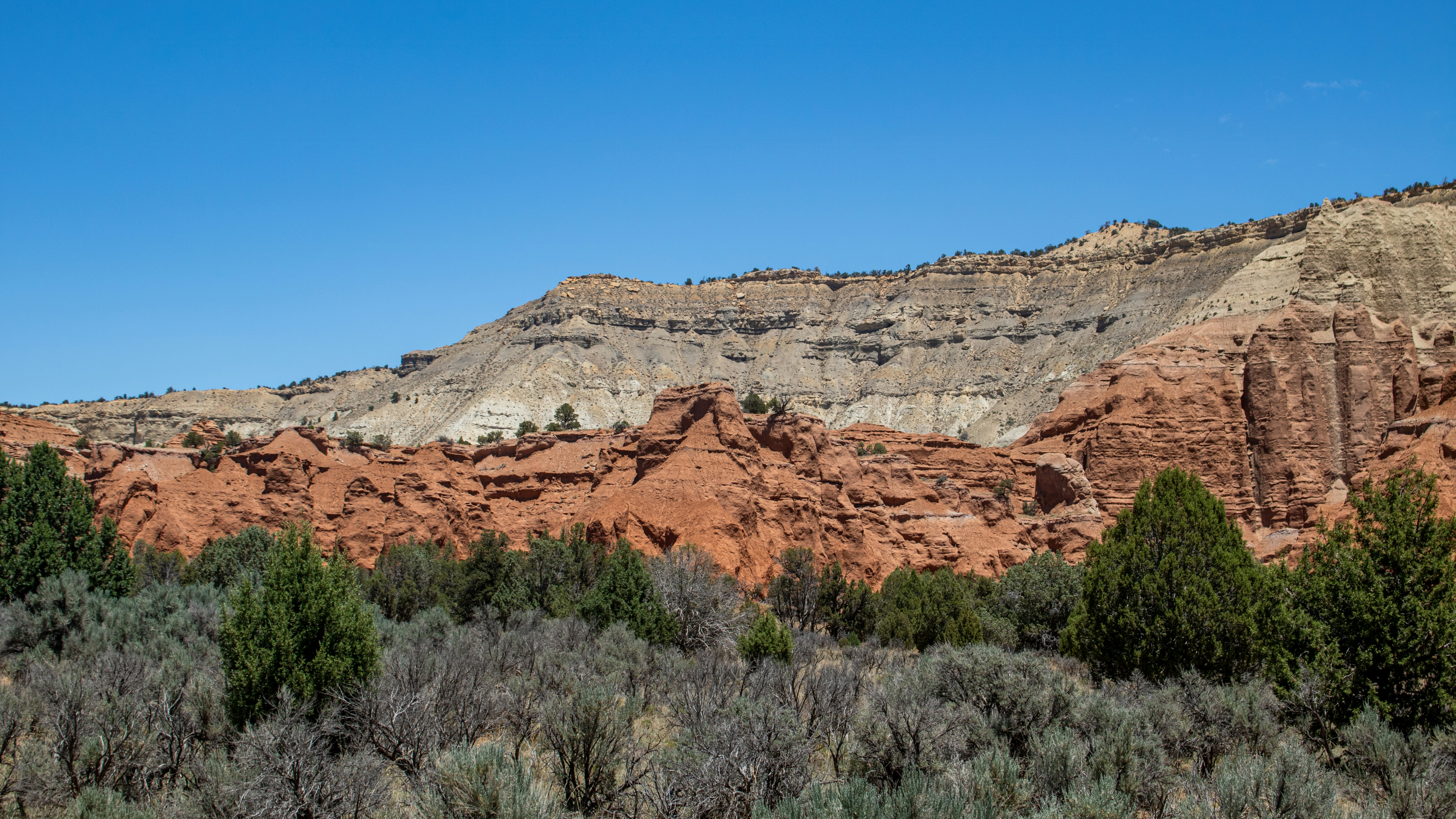 Photo by zoshuacolah