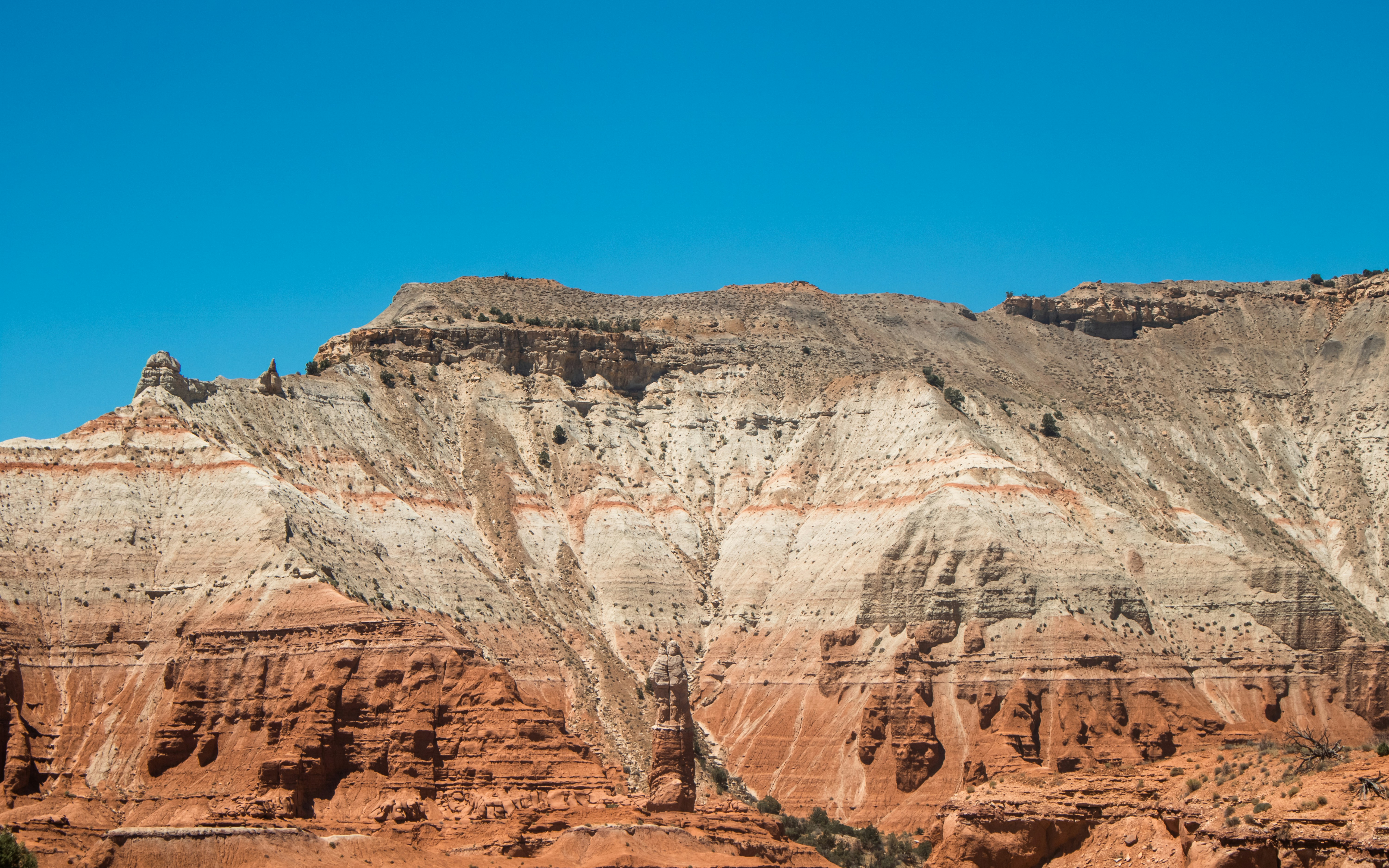 Photo by zoshuacolah