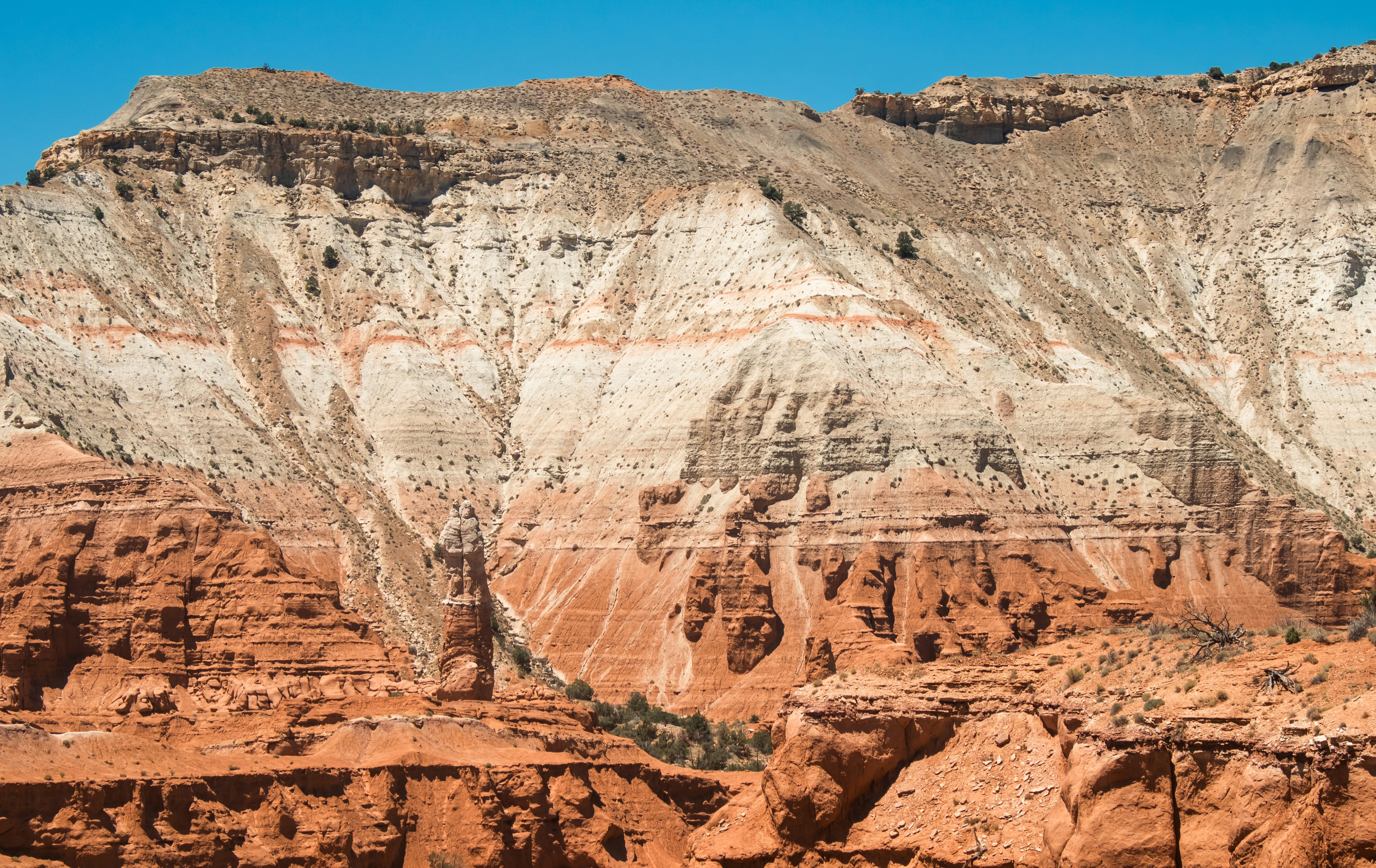 Photo by zoshuacolah