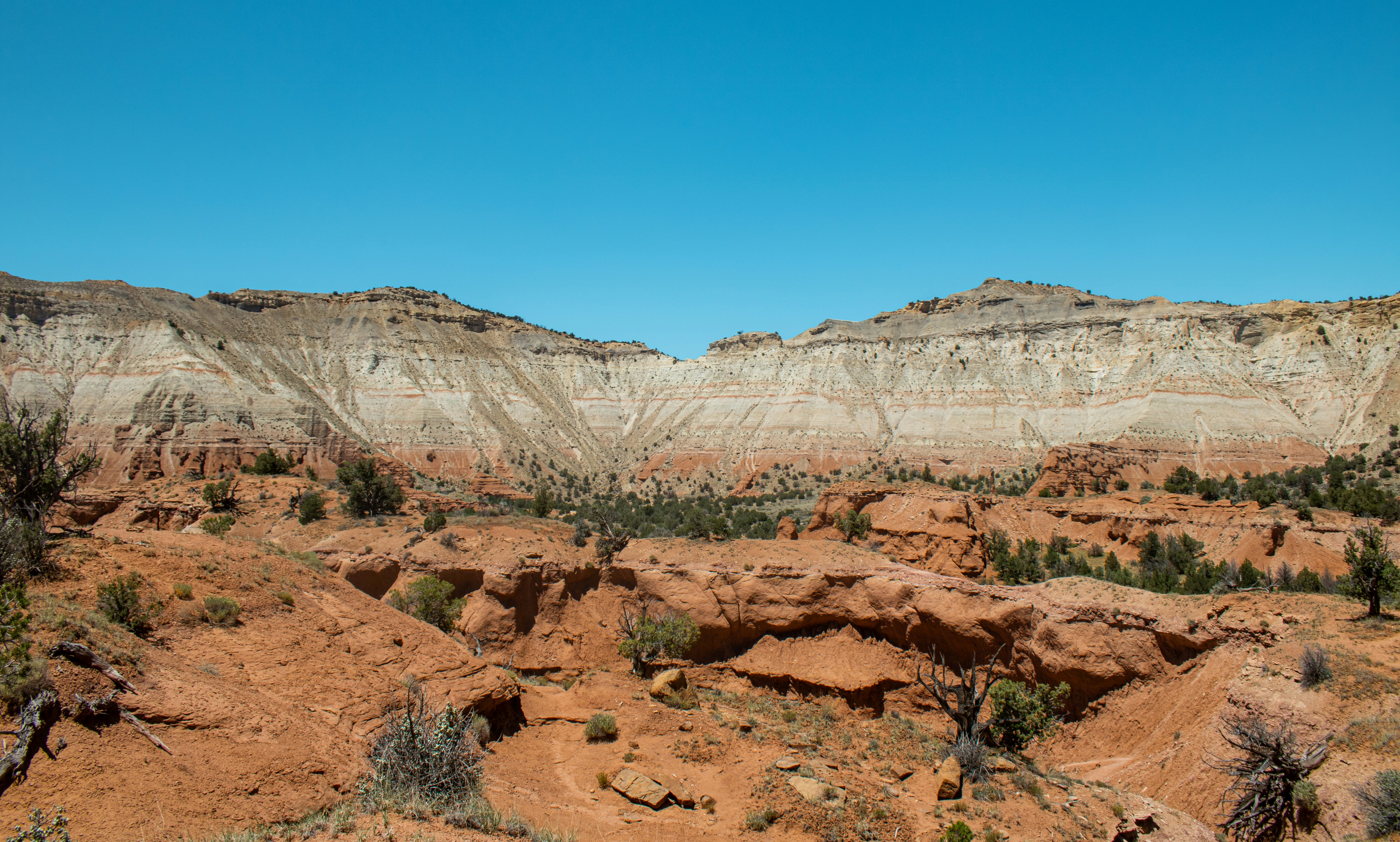 Photo by zoshuacolah