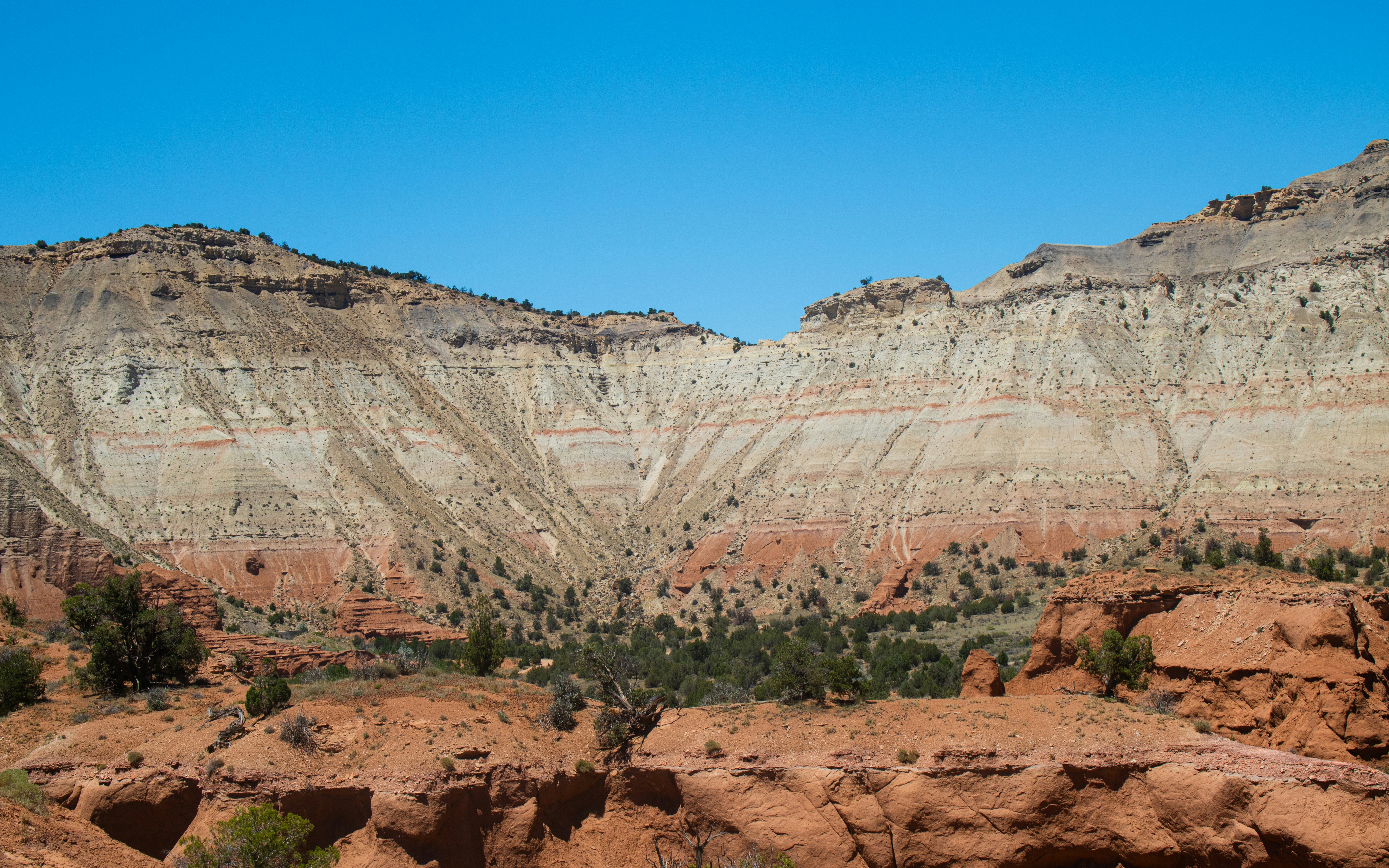 Photo by zoshuacolah