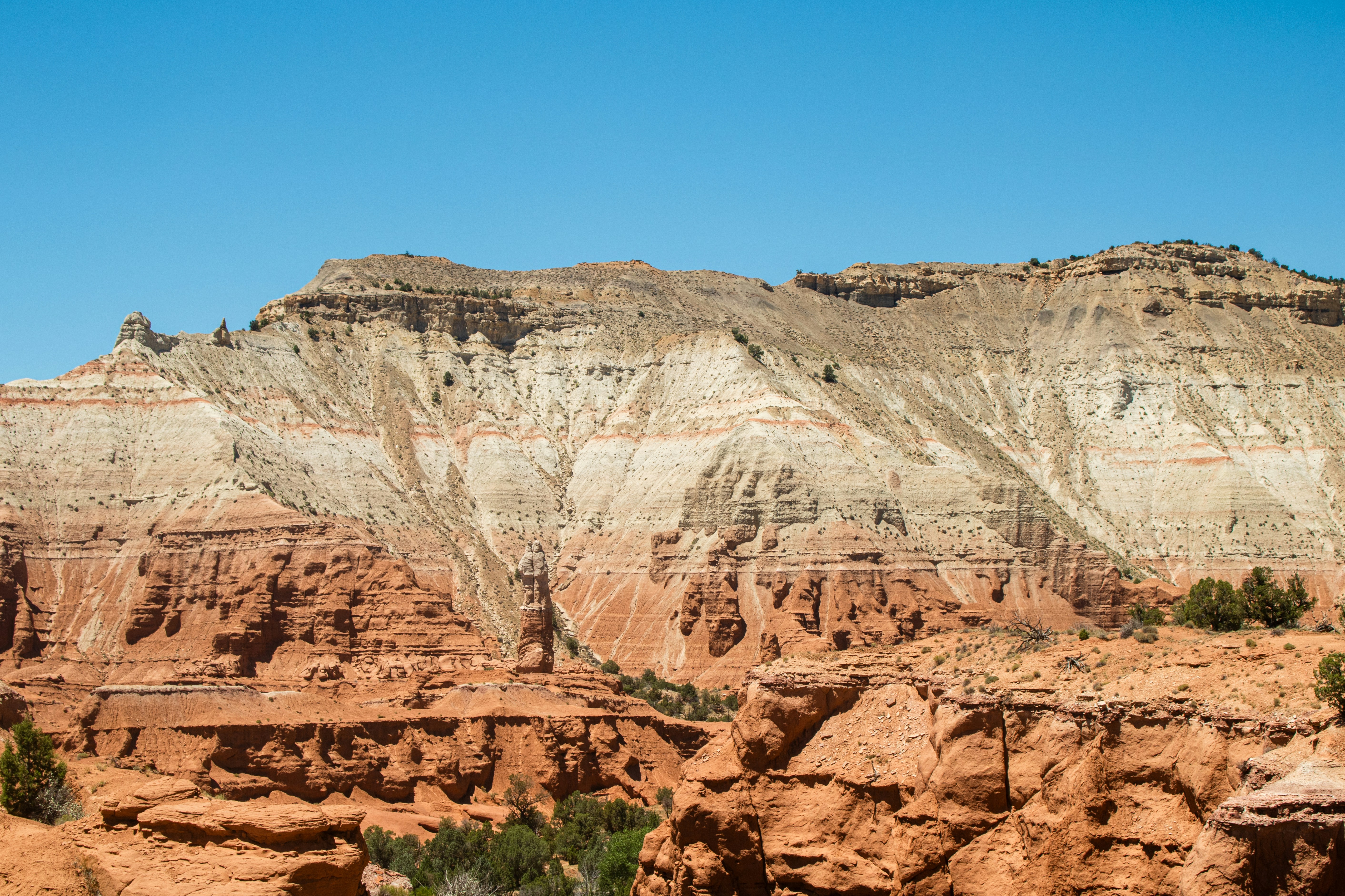 Photo by zoshuacolah