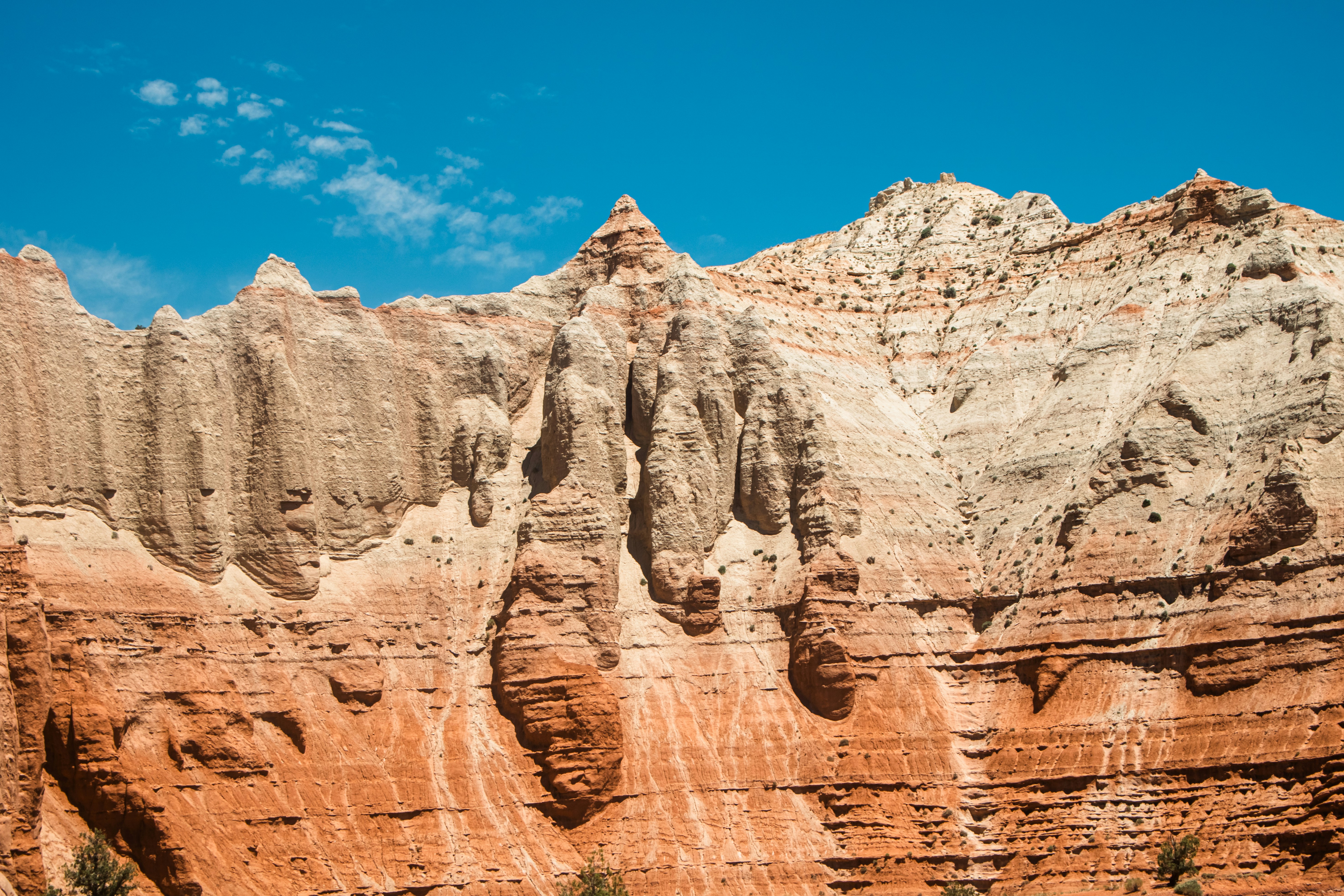 Photo by zoshuacolah