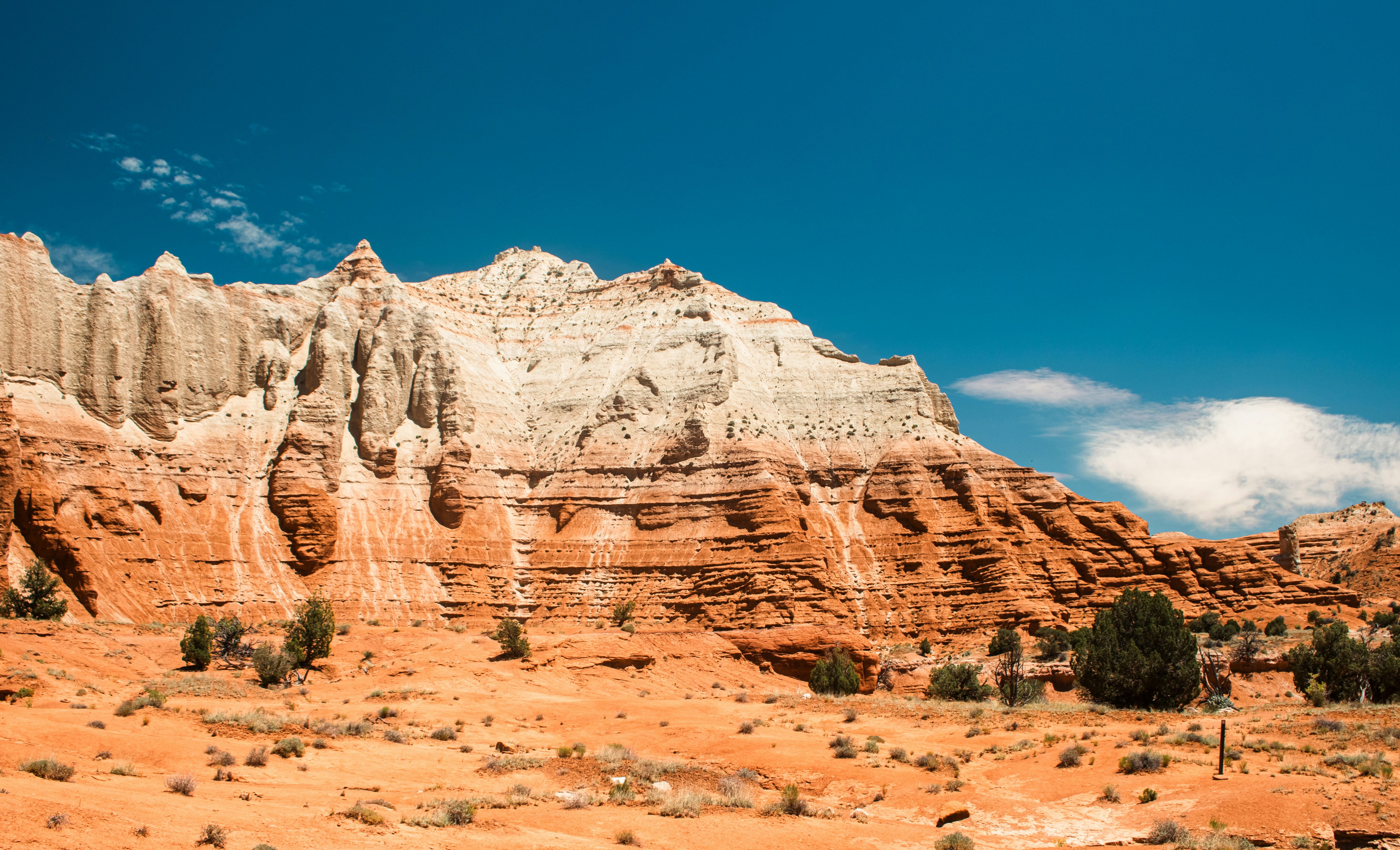 Photo by zoshuacolah