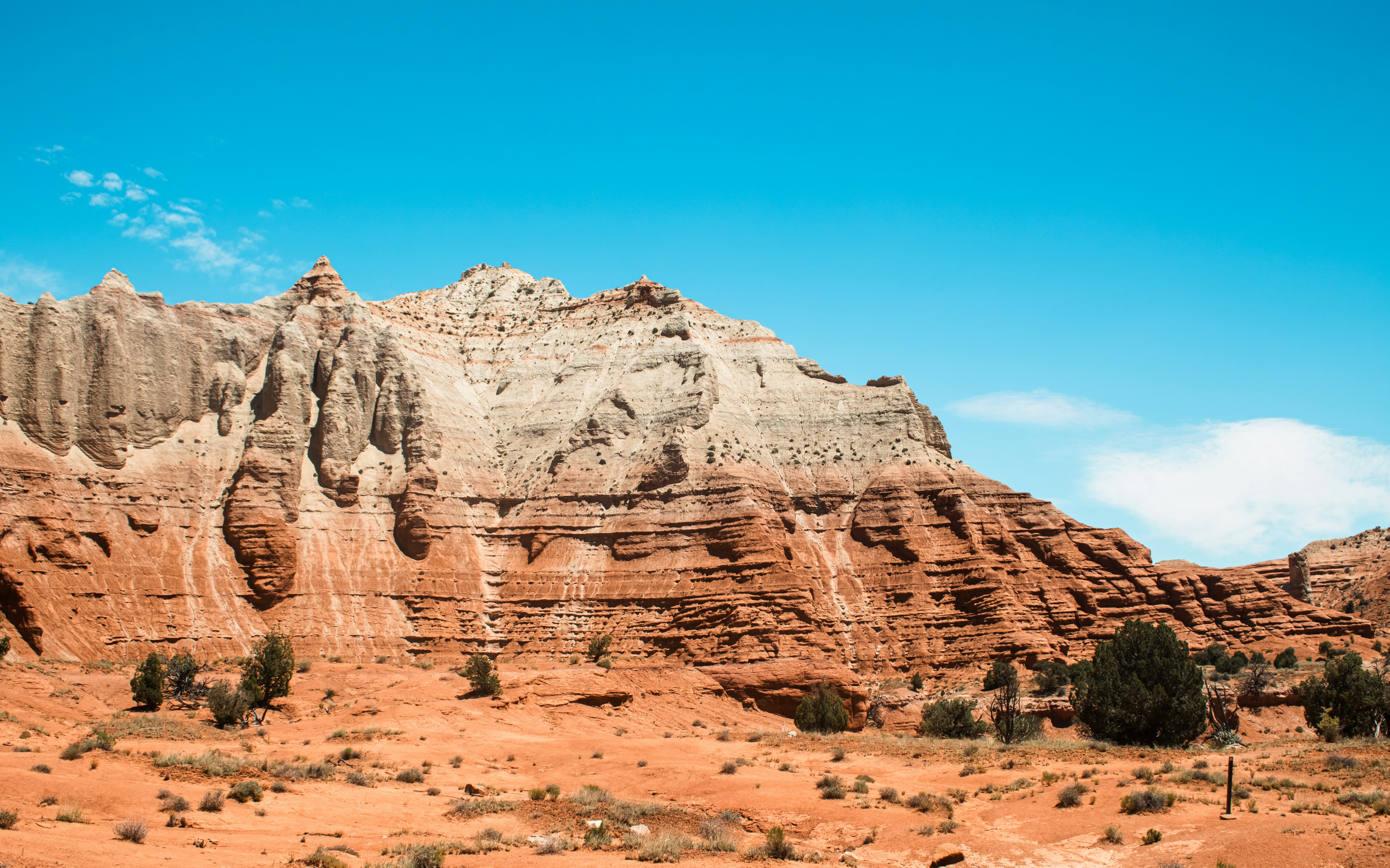 Photo by zoshuacolah