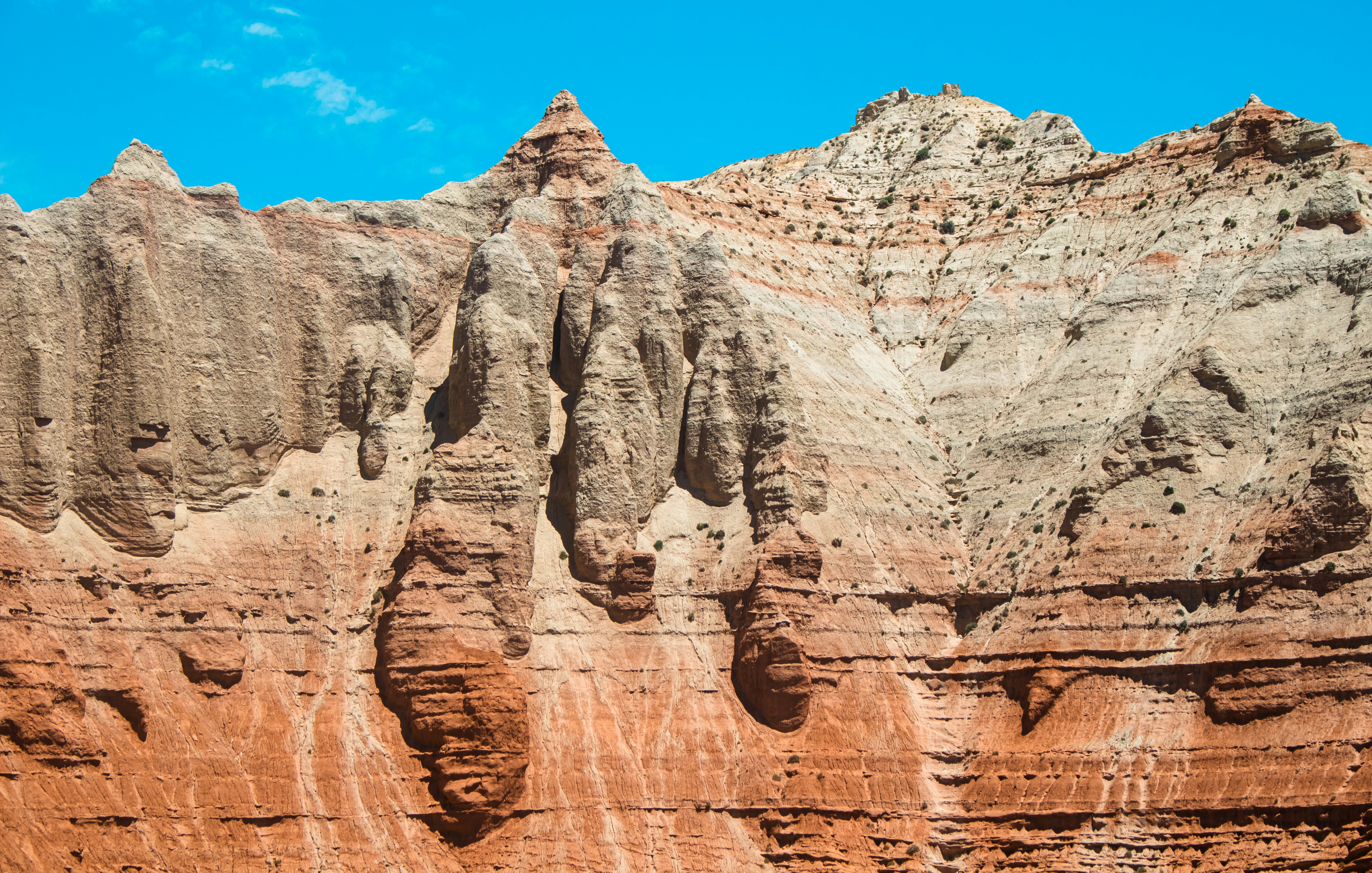 Photo by zoshuacolah