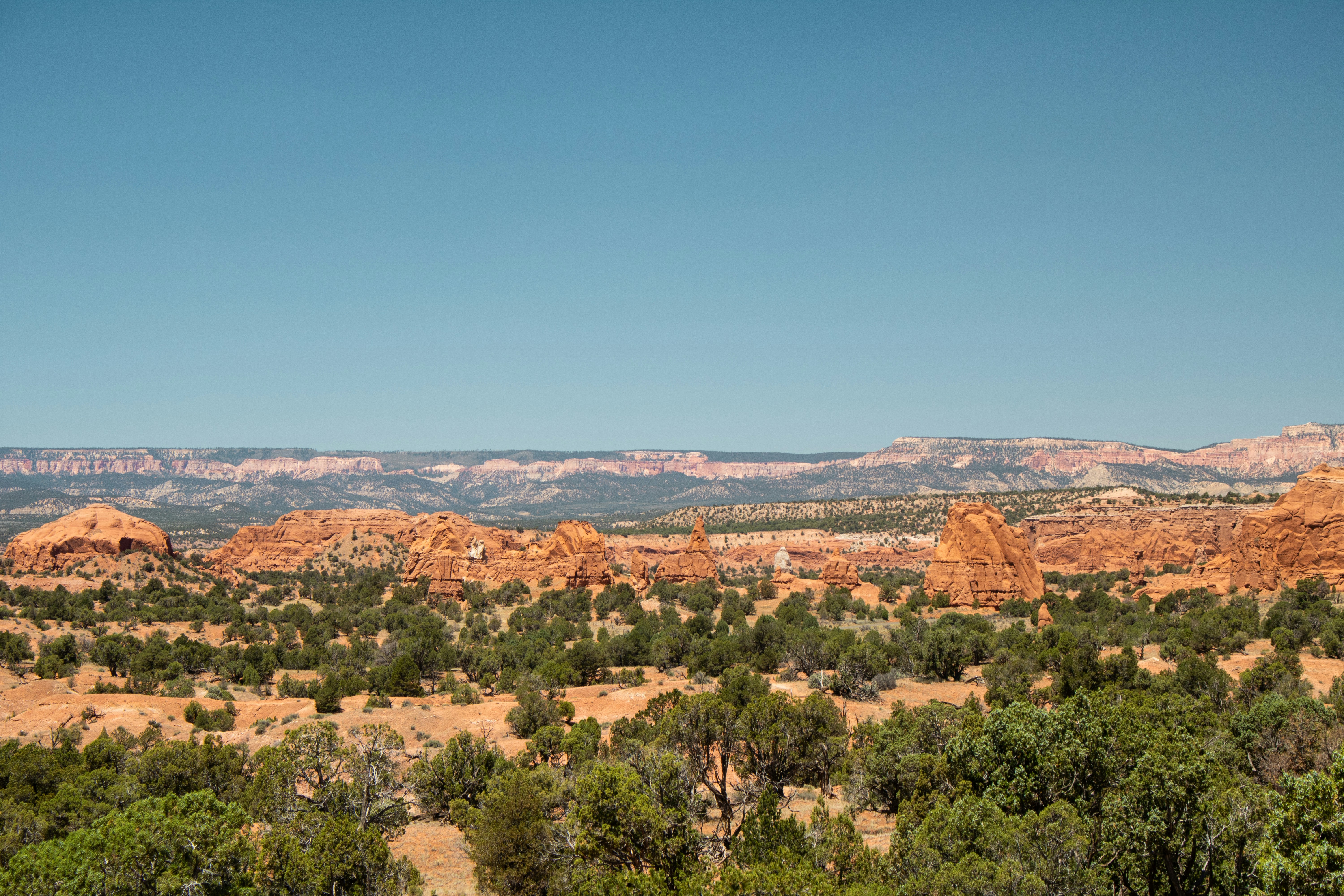 Photo by zoshuacolah