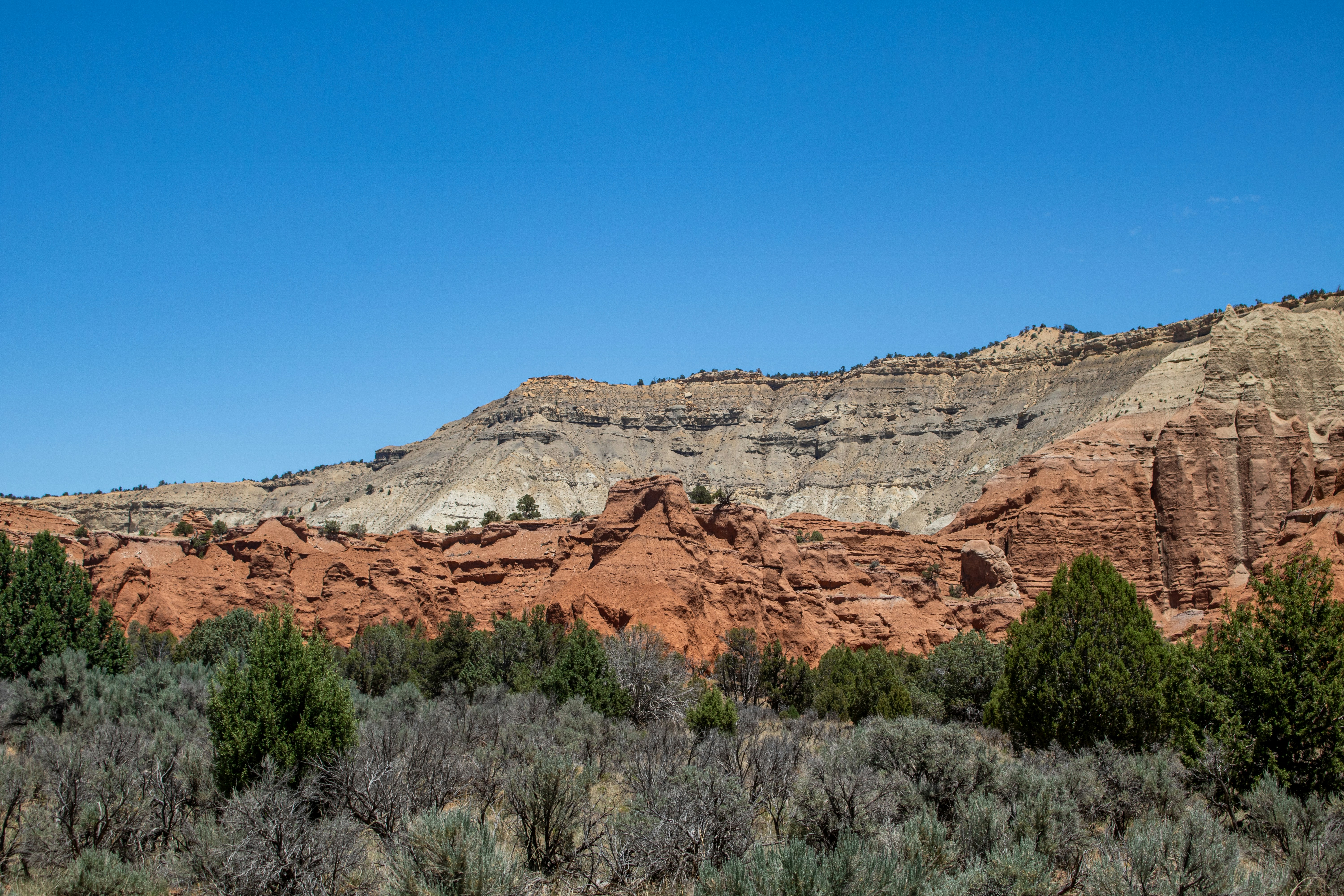 Photo by zoshuacolah