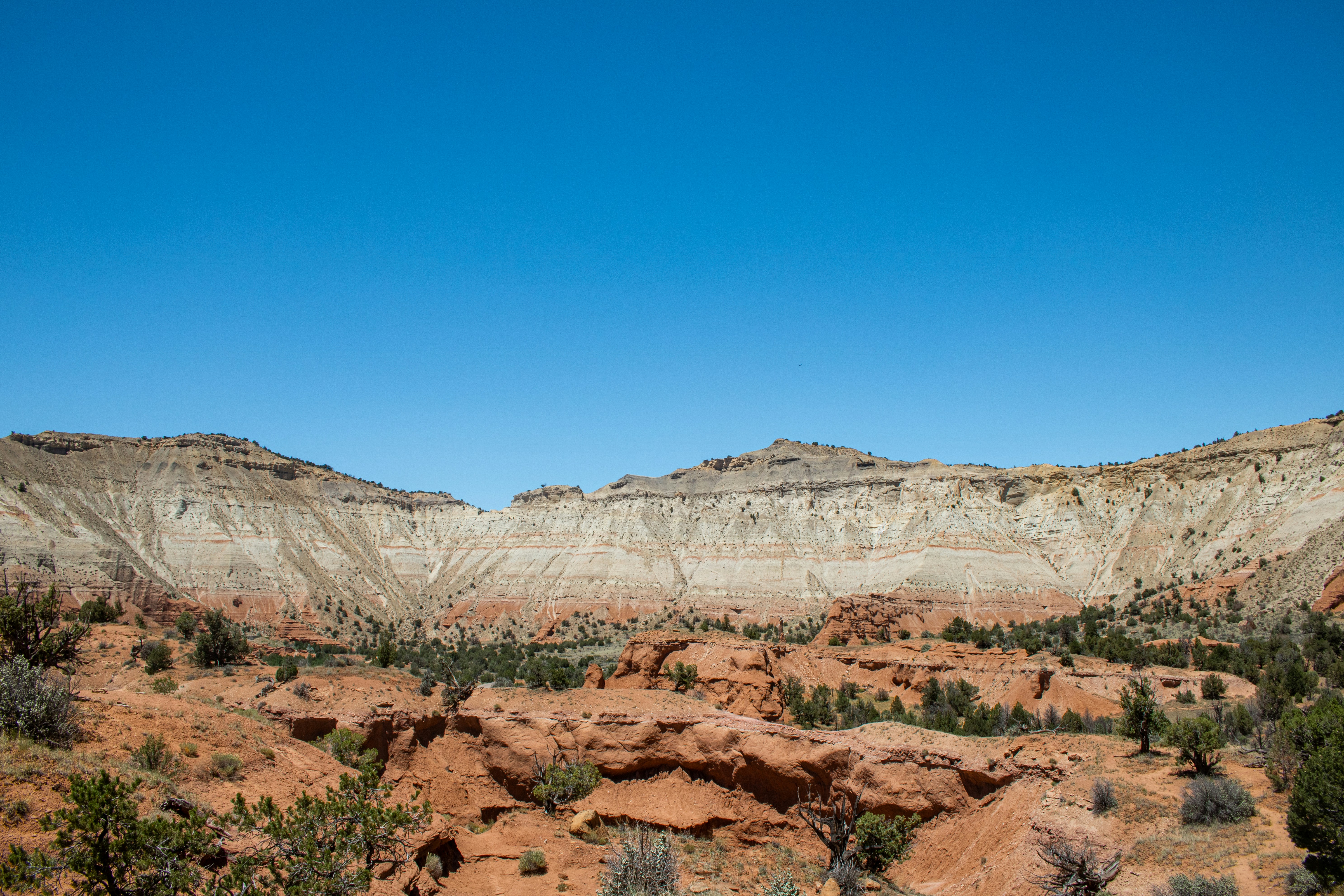 Photo by zoshuacolah