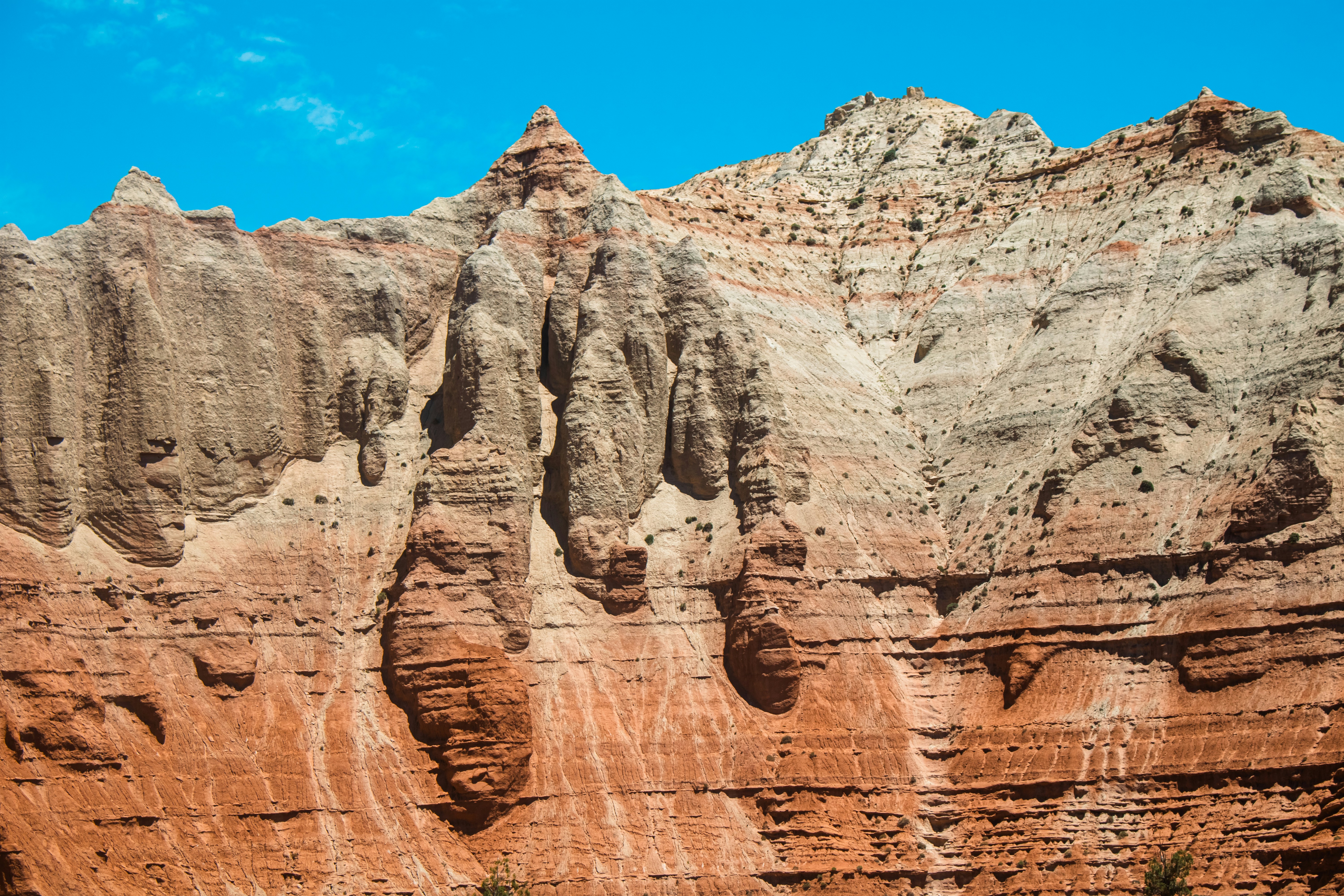 Photo by zoshuacolah