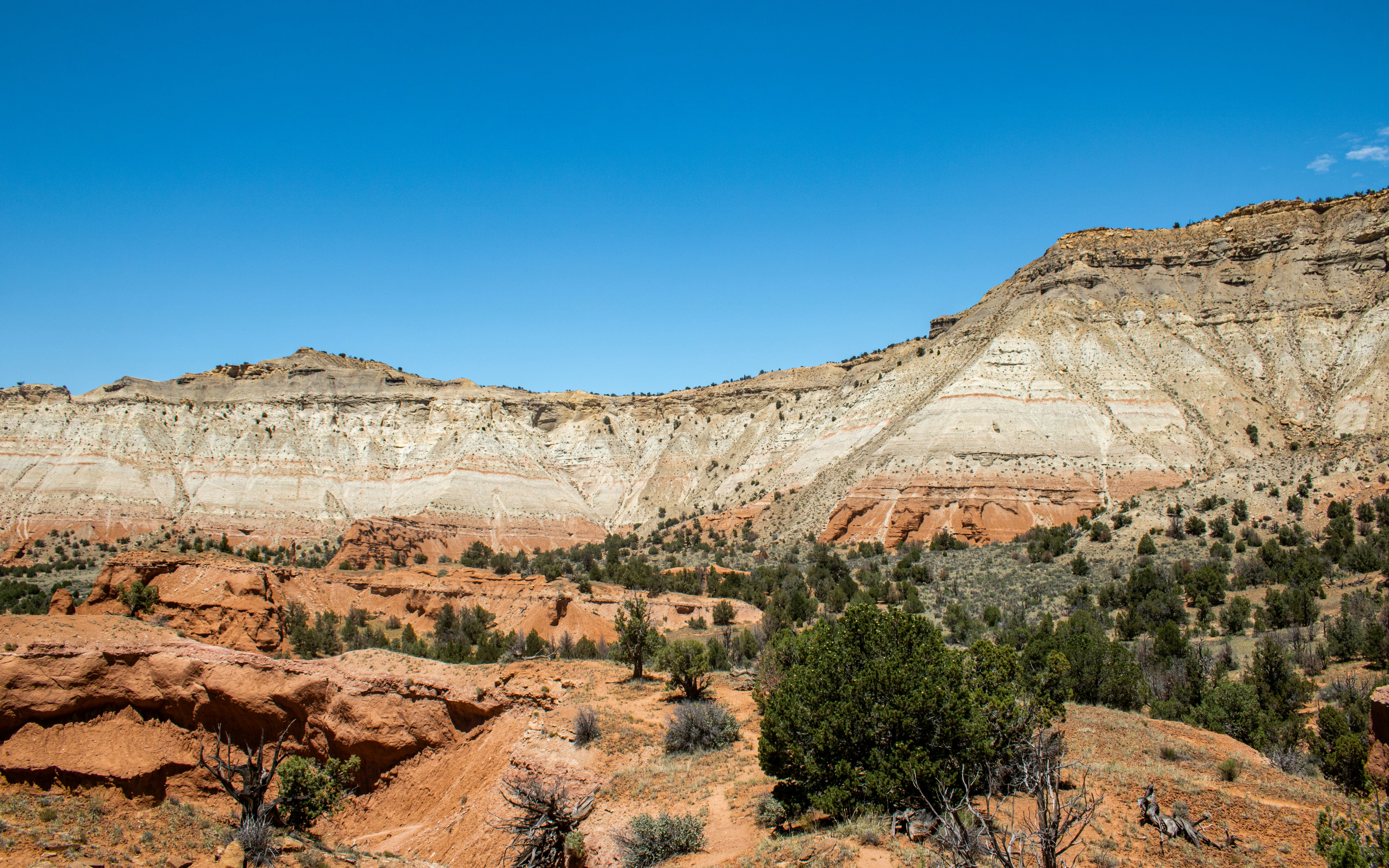 Photo by zoshuacolah