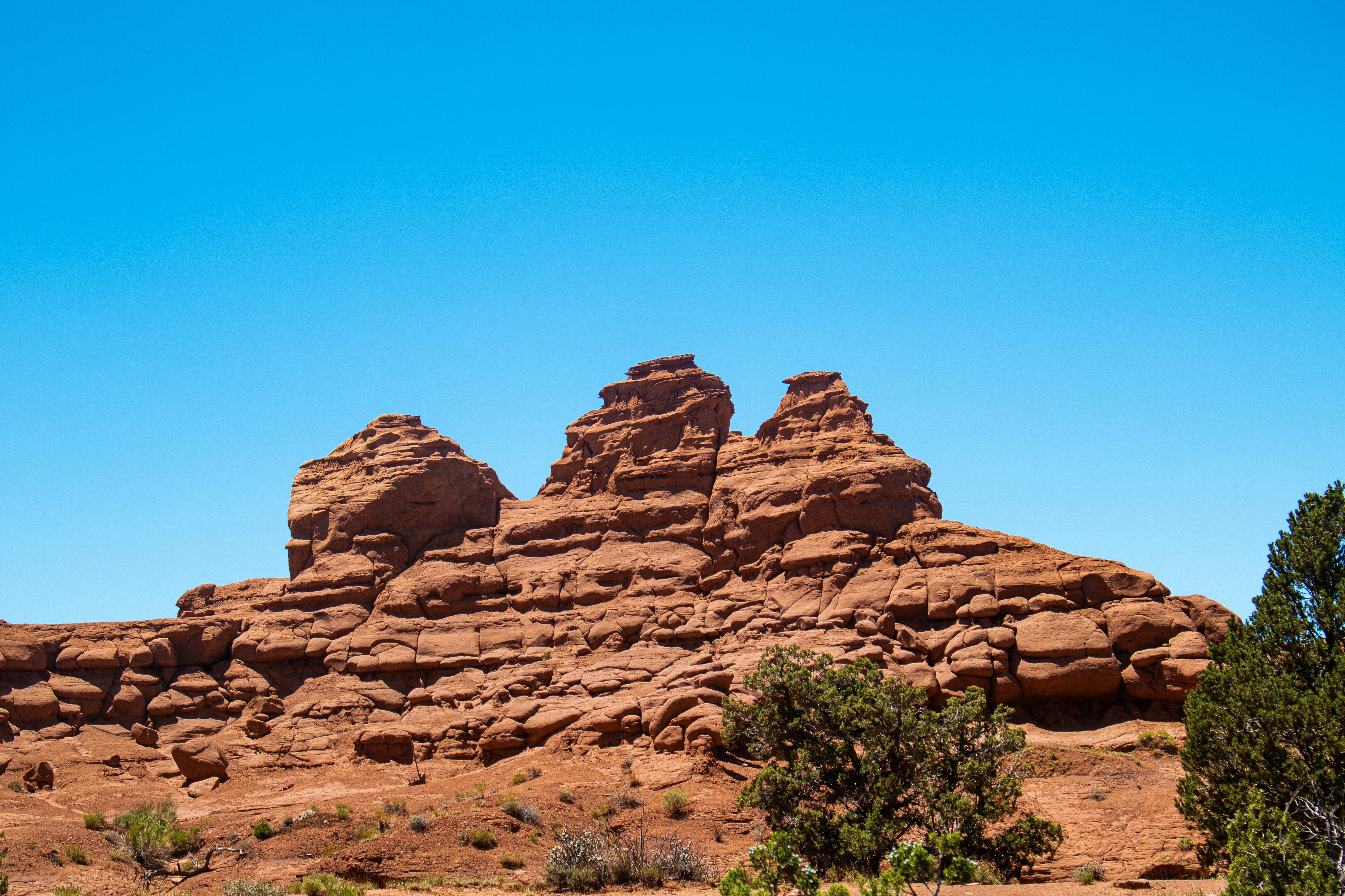 Photo by zoshuacolah