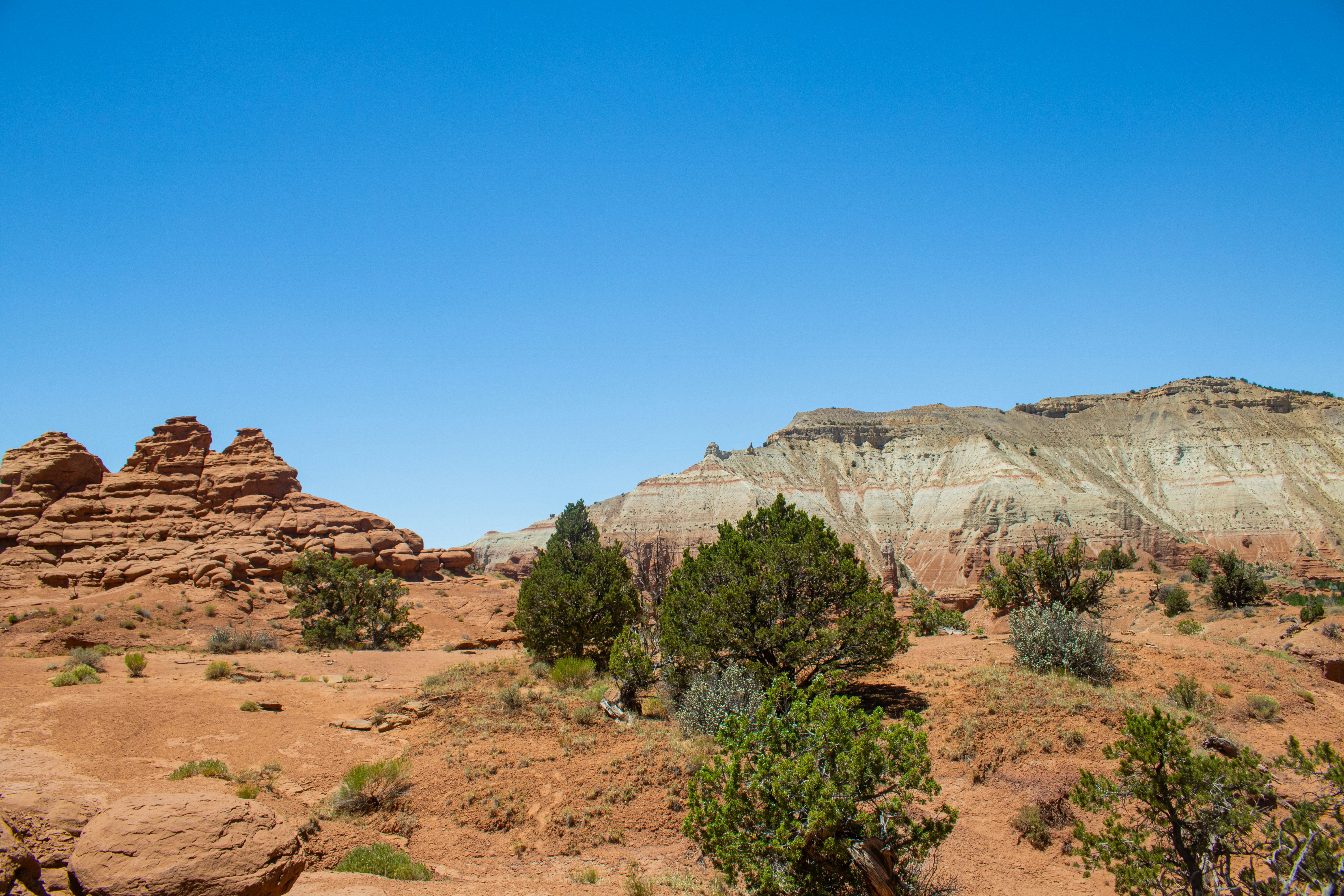 Photo by zoshuacolah