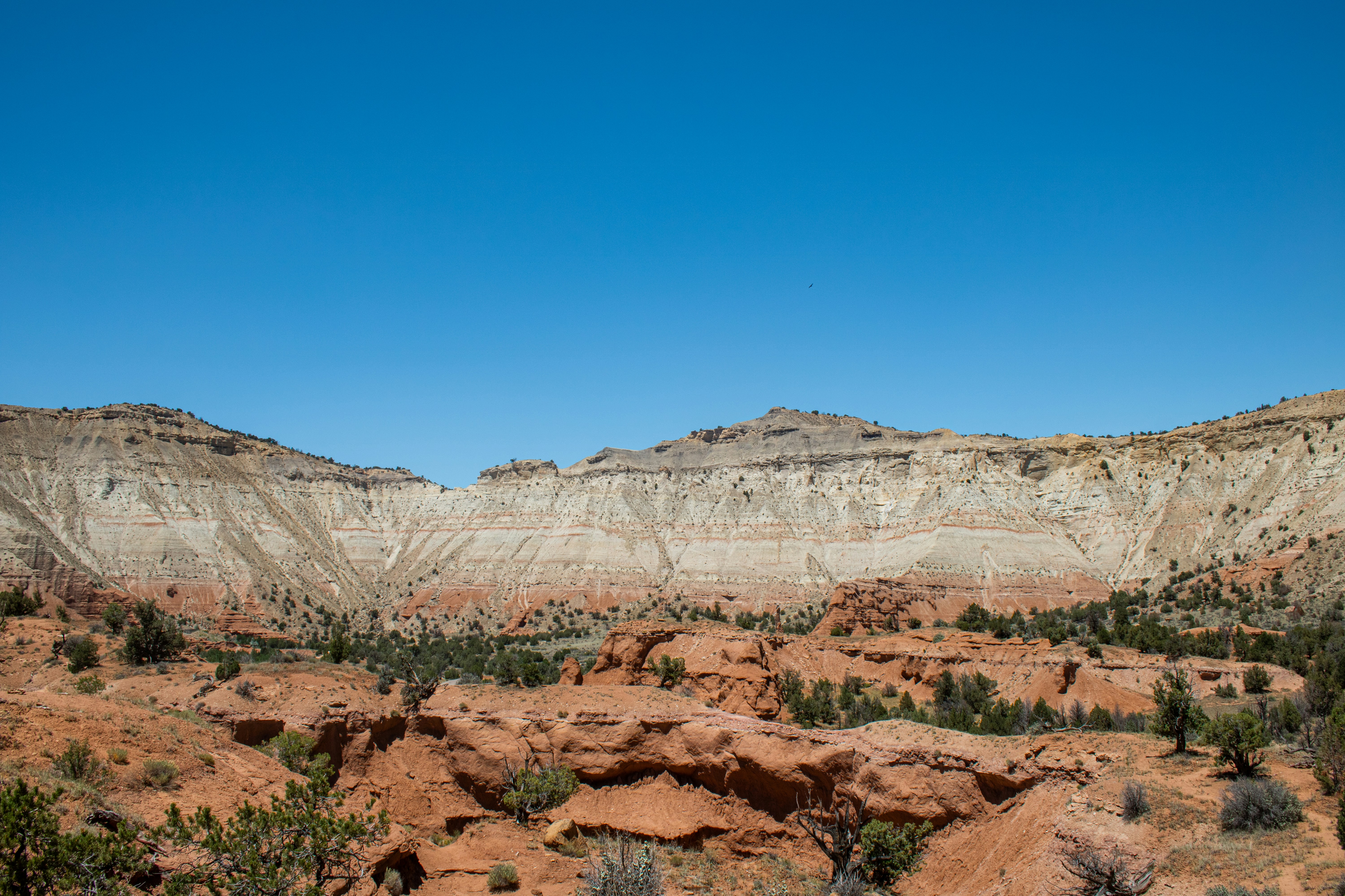 Photo by zoshuacolah