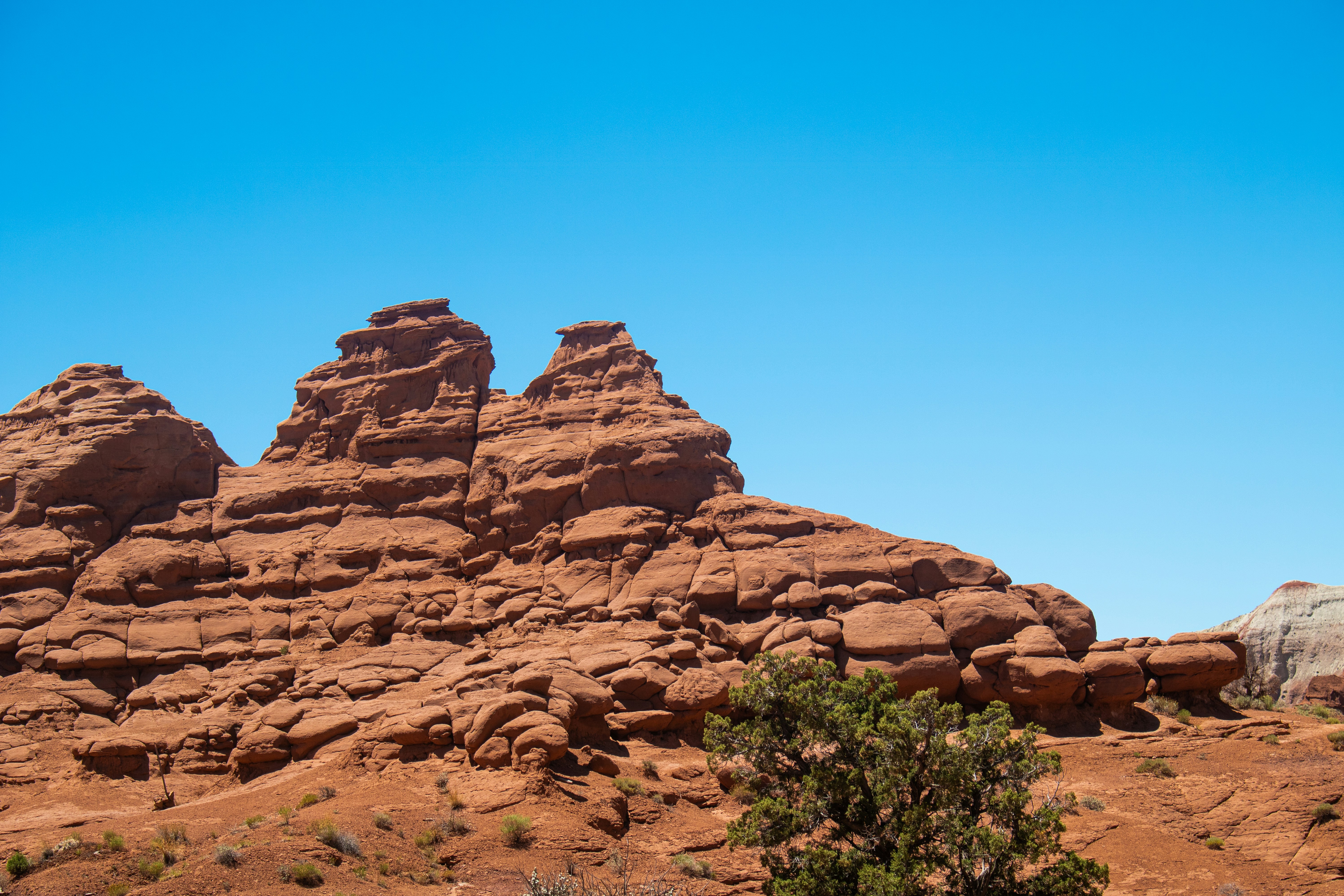 Photo by zoshuacolah