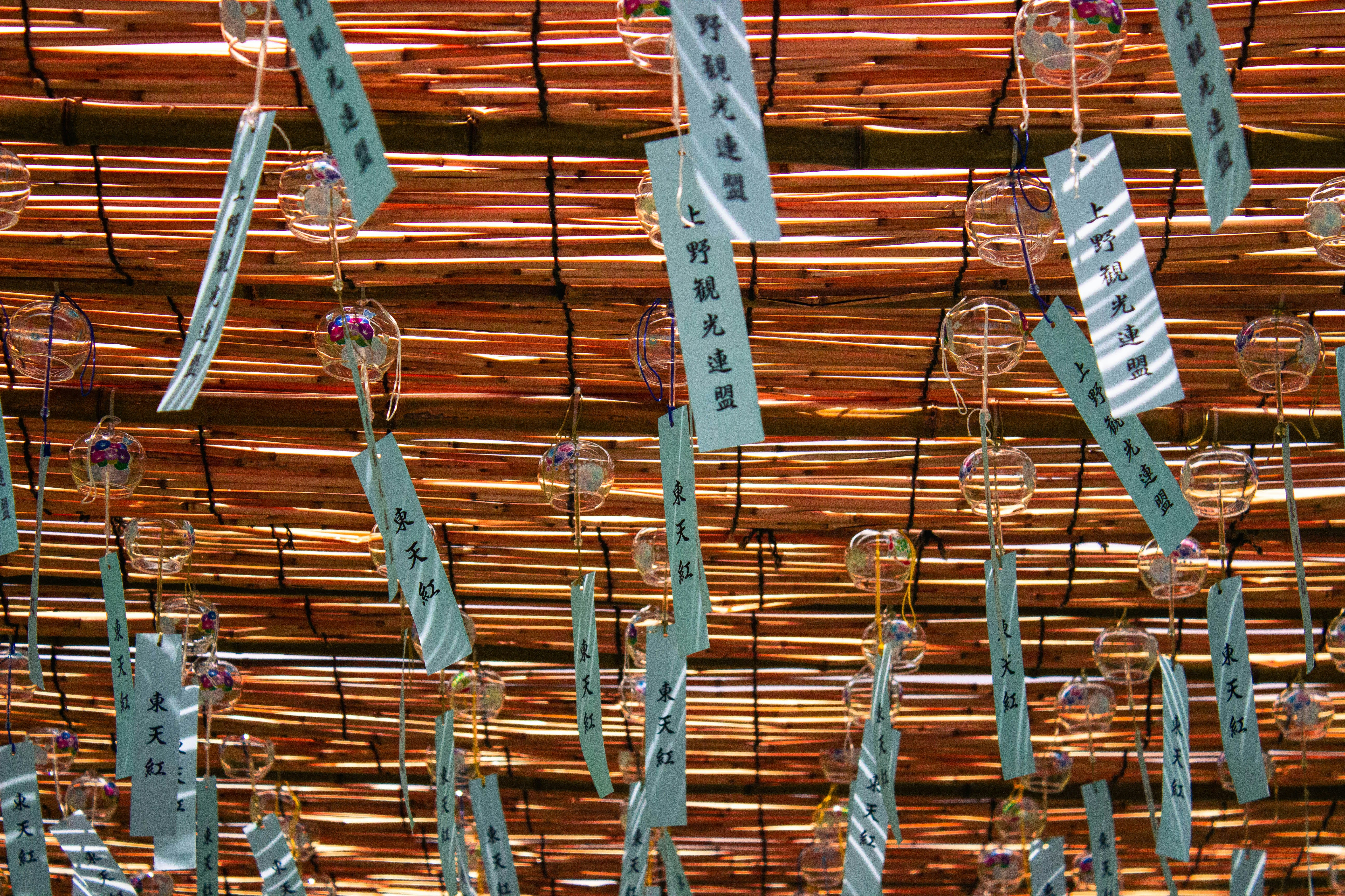 Too Much of a Vital Thing: How Copper Accumulation May Be Quietly Undermining Your Mitochondrial Function