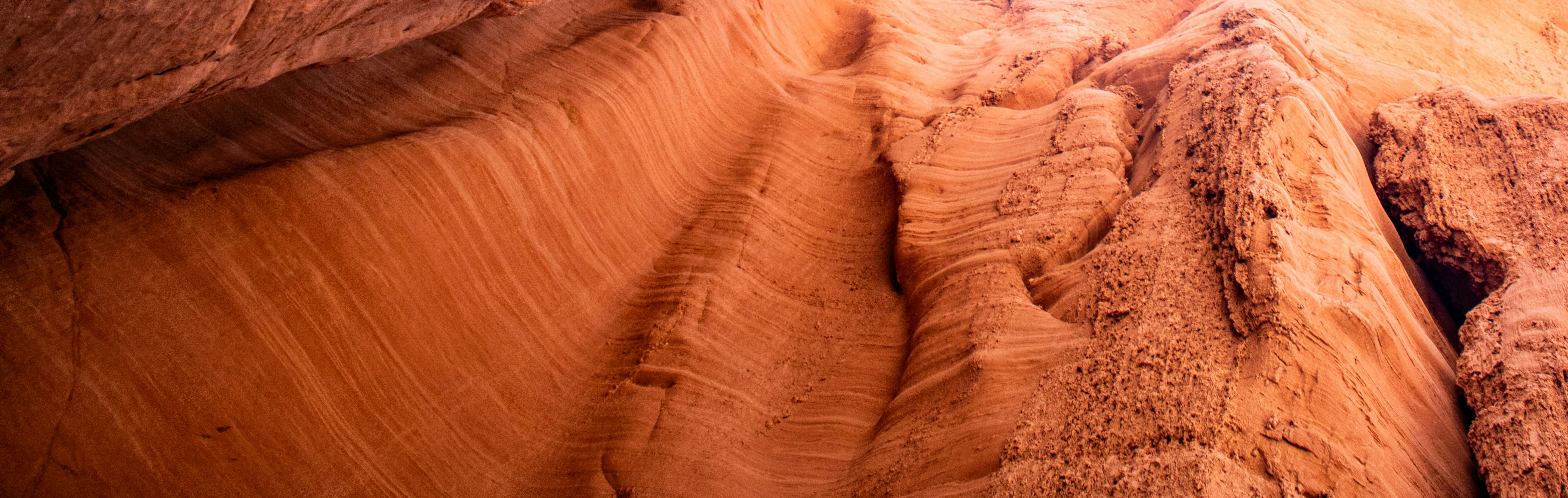 Photo by zoshuacolah