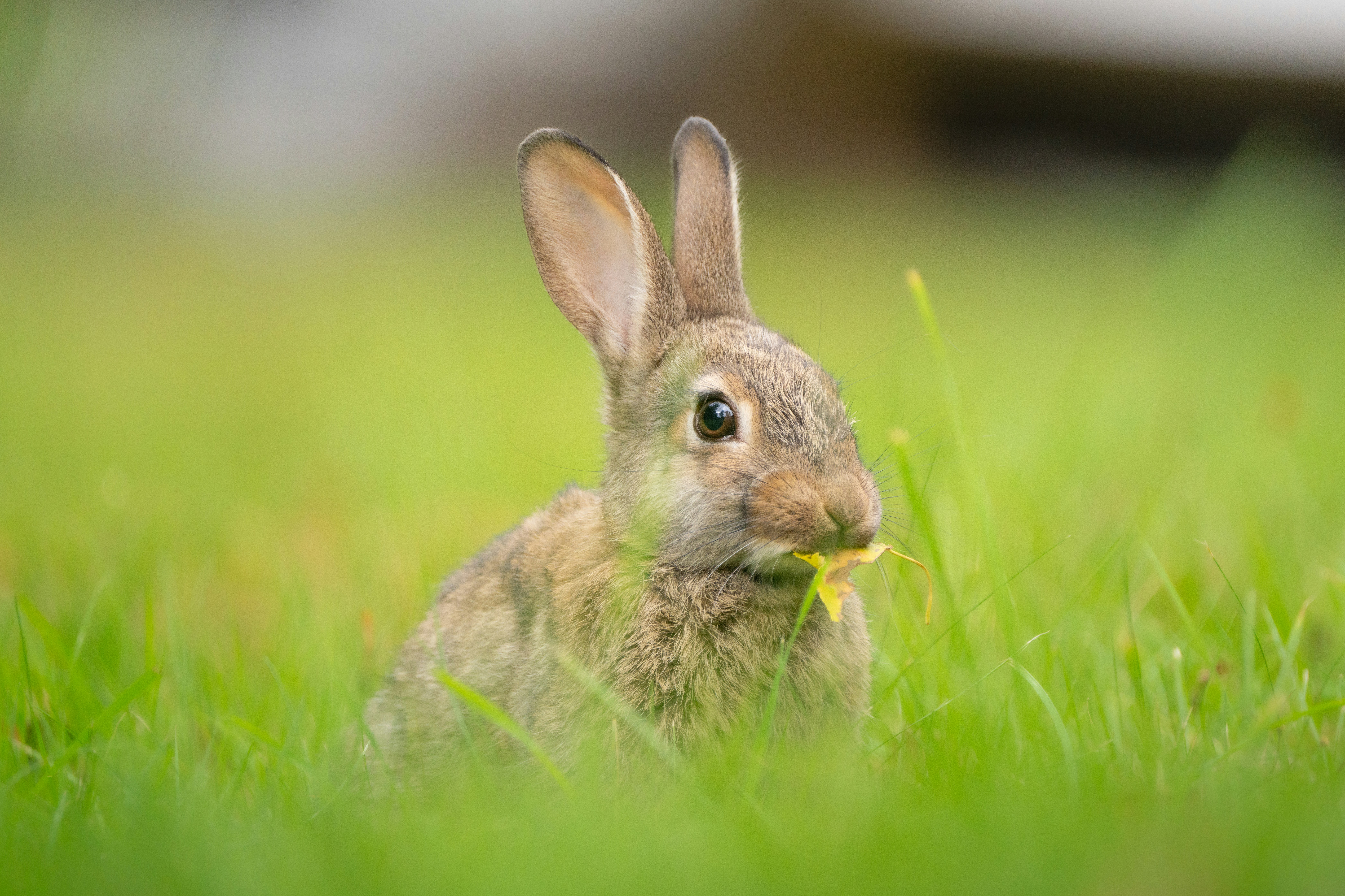 Photo by ronan_hello