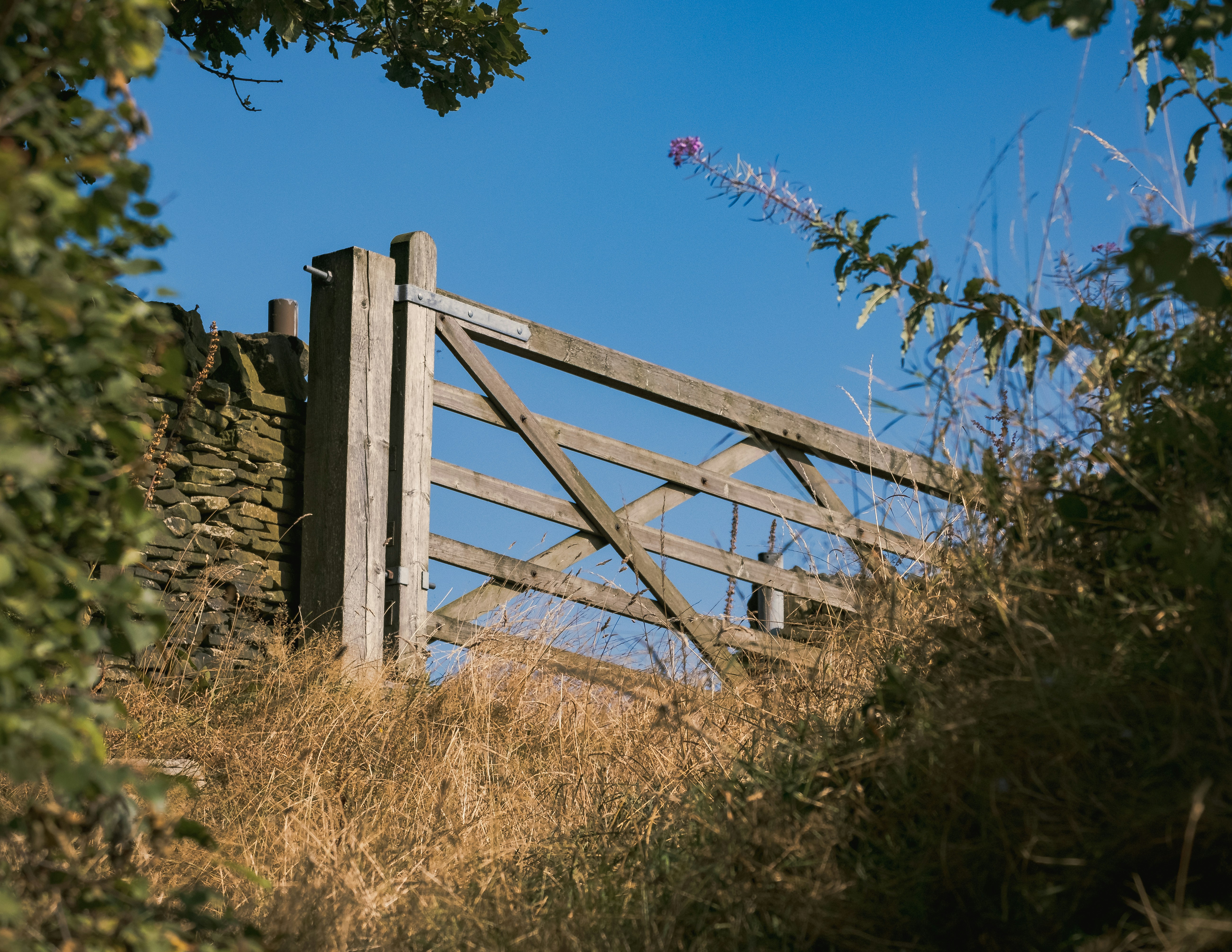 Photo by rory_tucker_photography