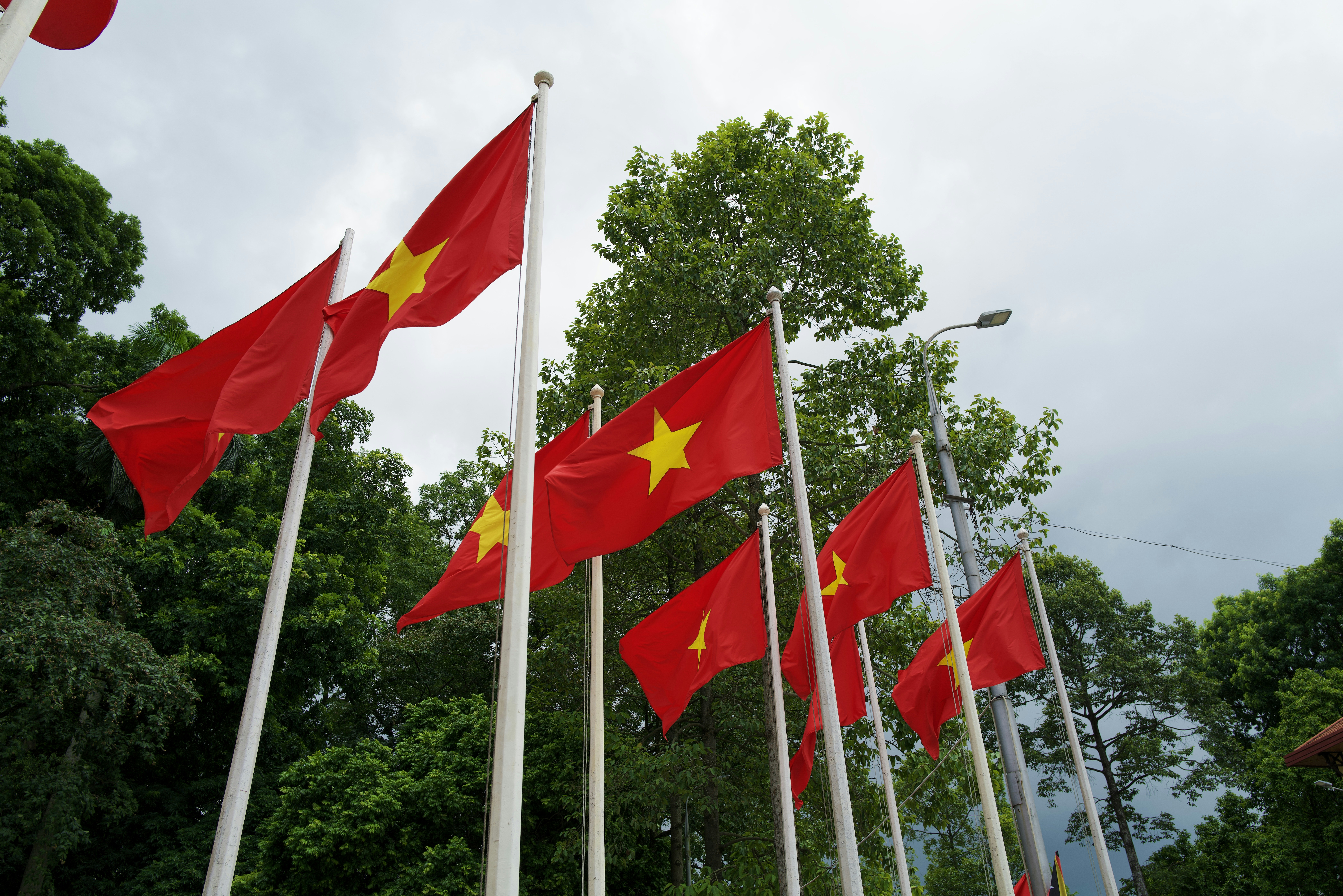 A row of red and yellow flags in front of trees