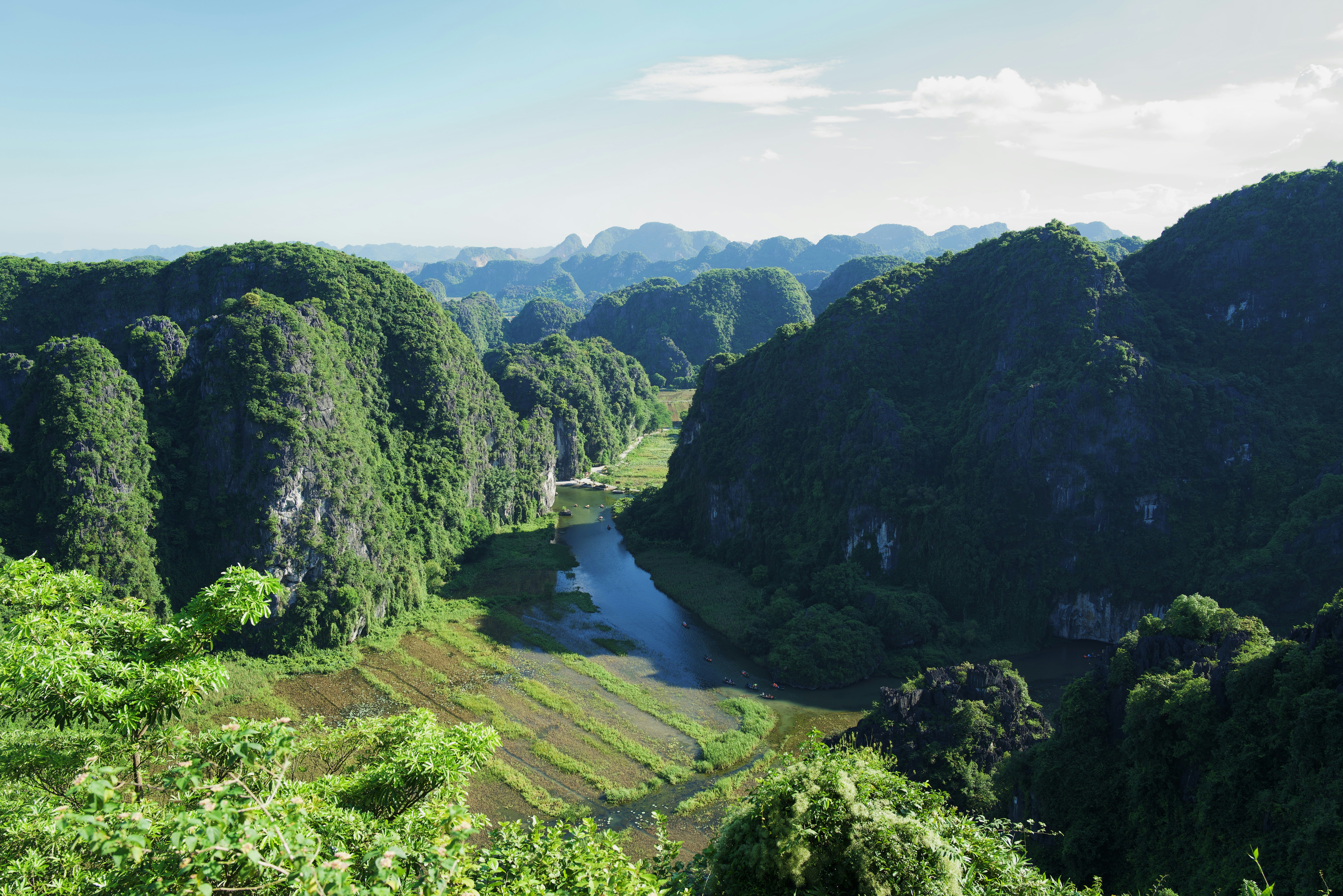 緑豊かな森の中を流れる川