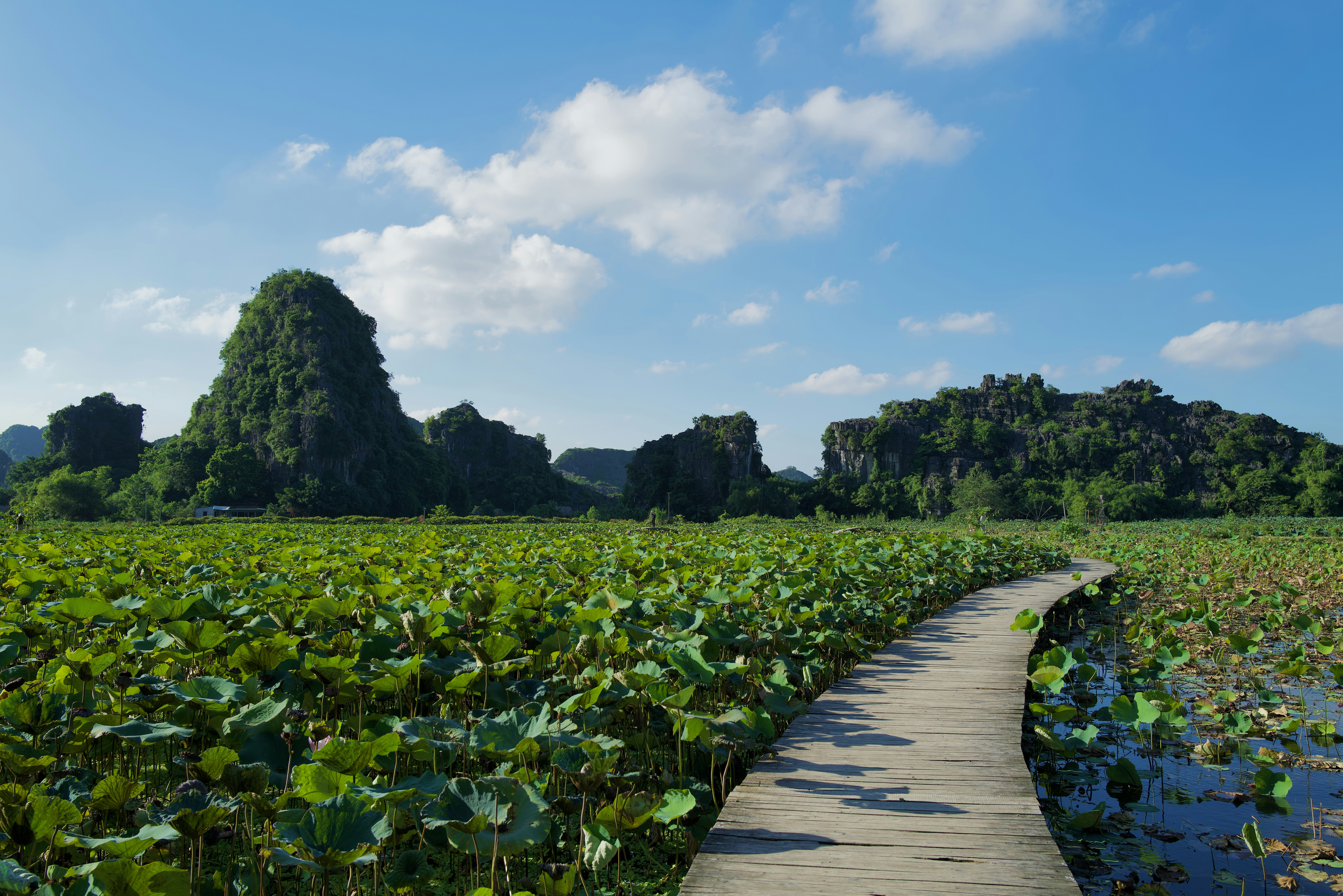 Ninh Binh – Activities & Attractions
