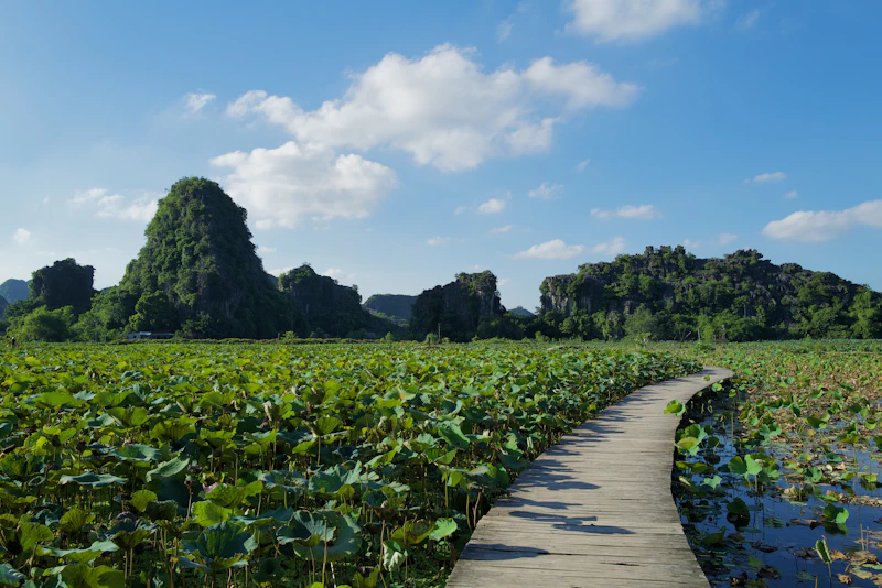 Best Walking Paths and Streets in Ninh Binh to Explore on Foot