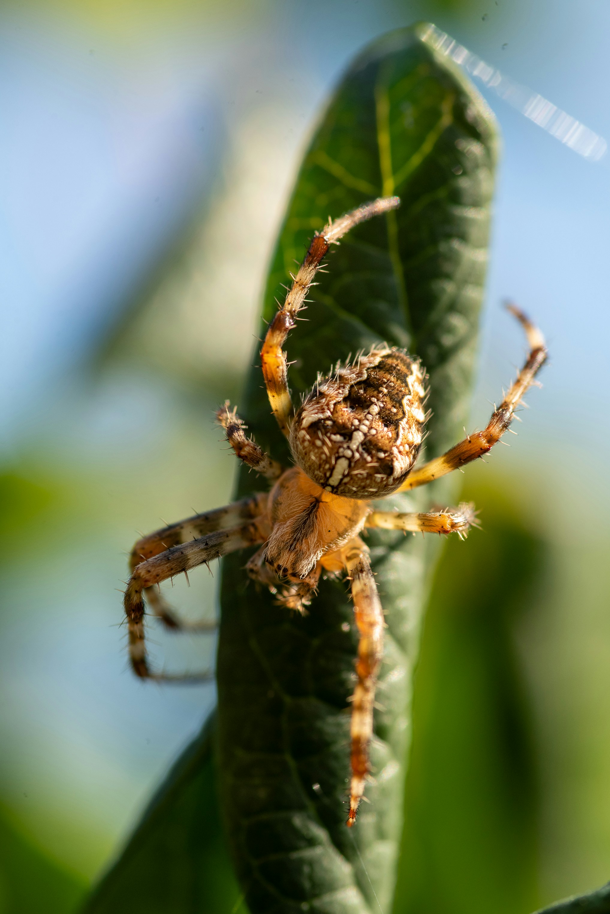 Photo by anastazjakp