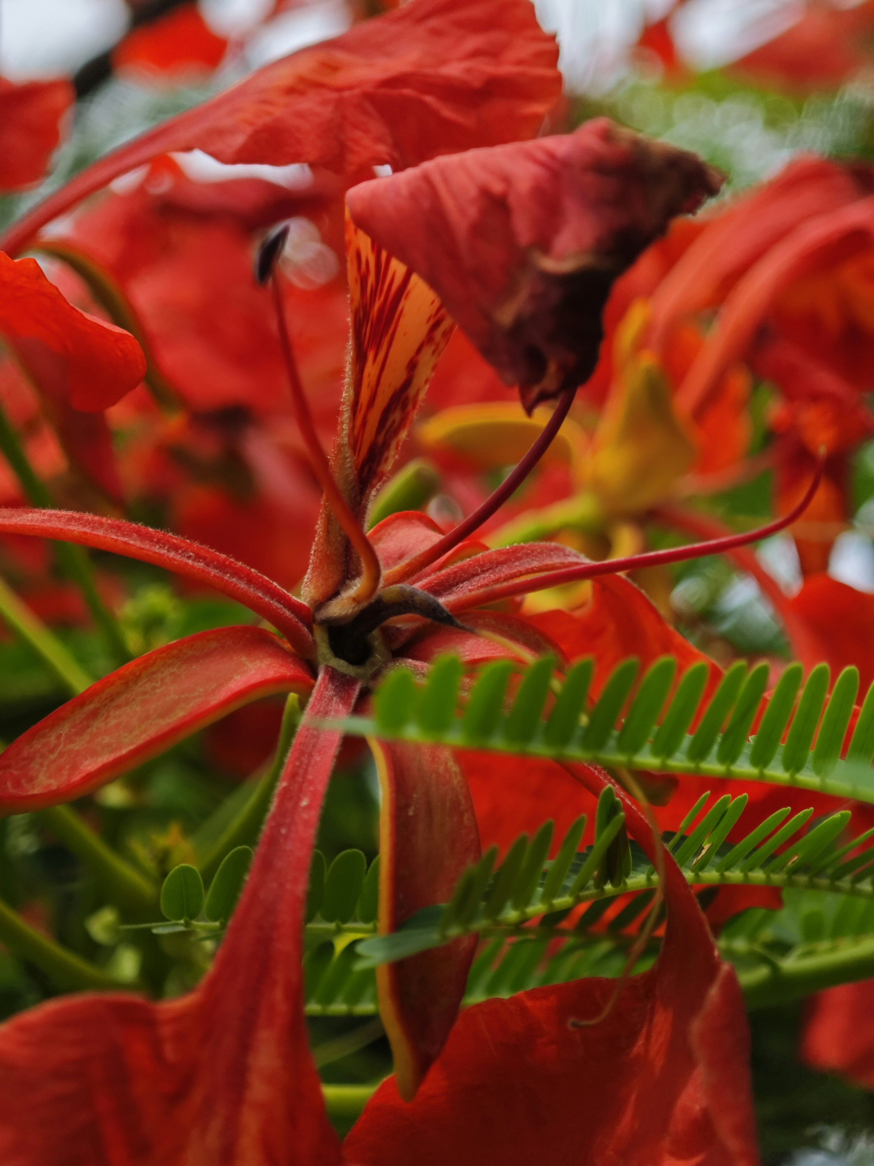 Photo by trifik_1075