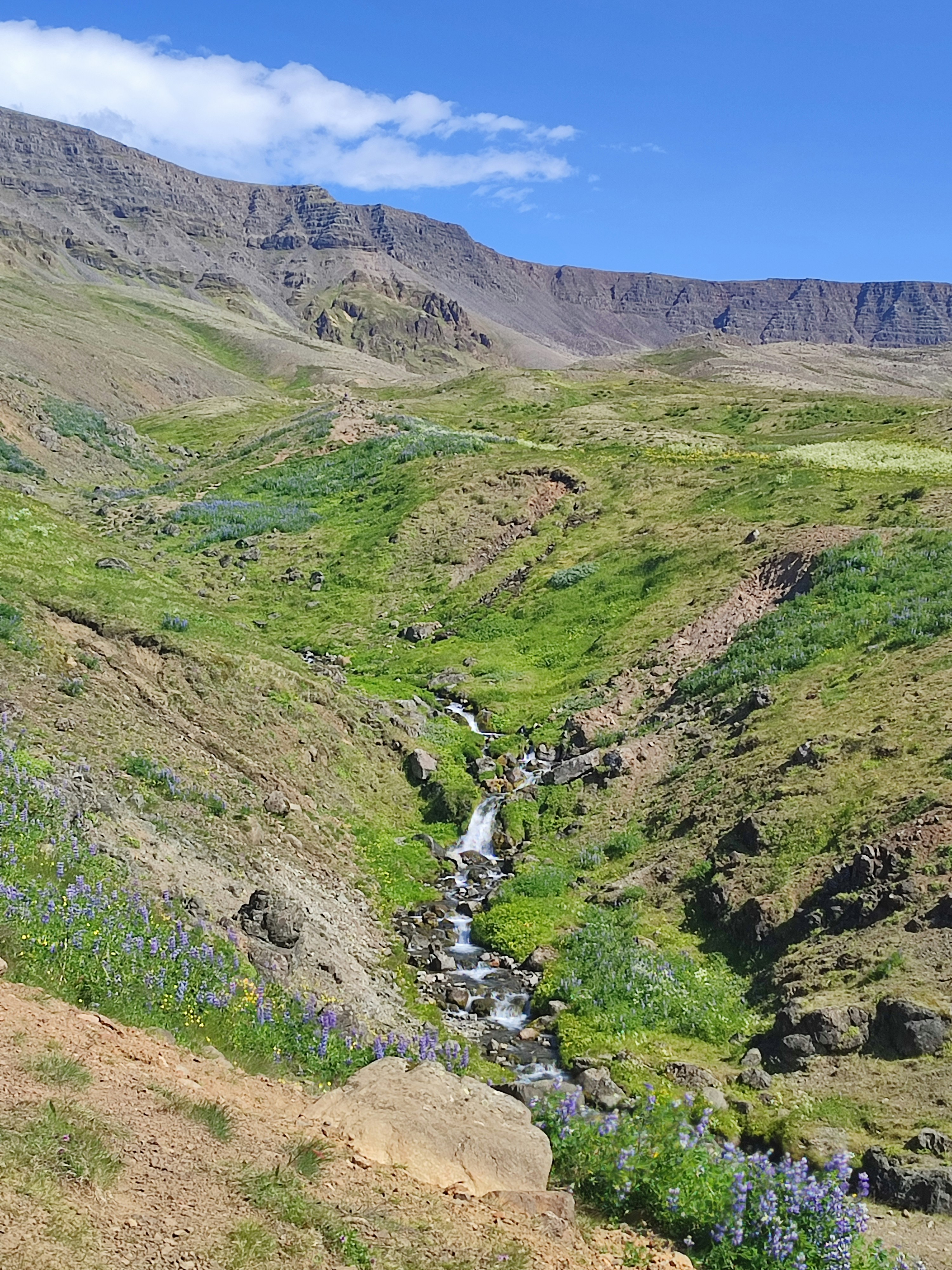 Photo by anton73photo