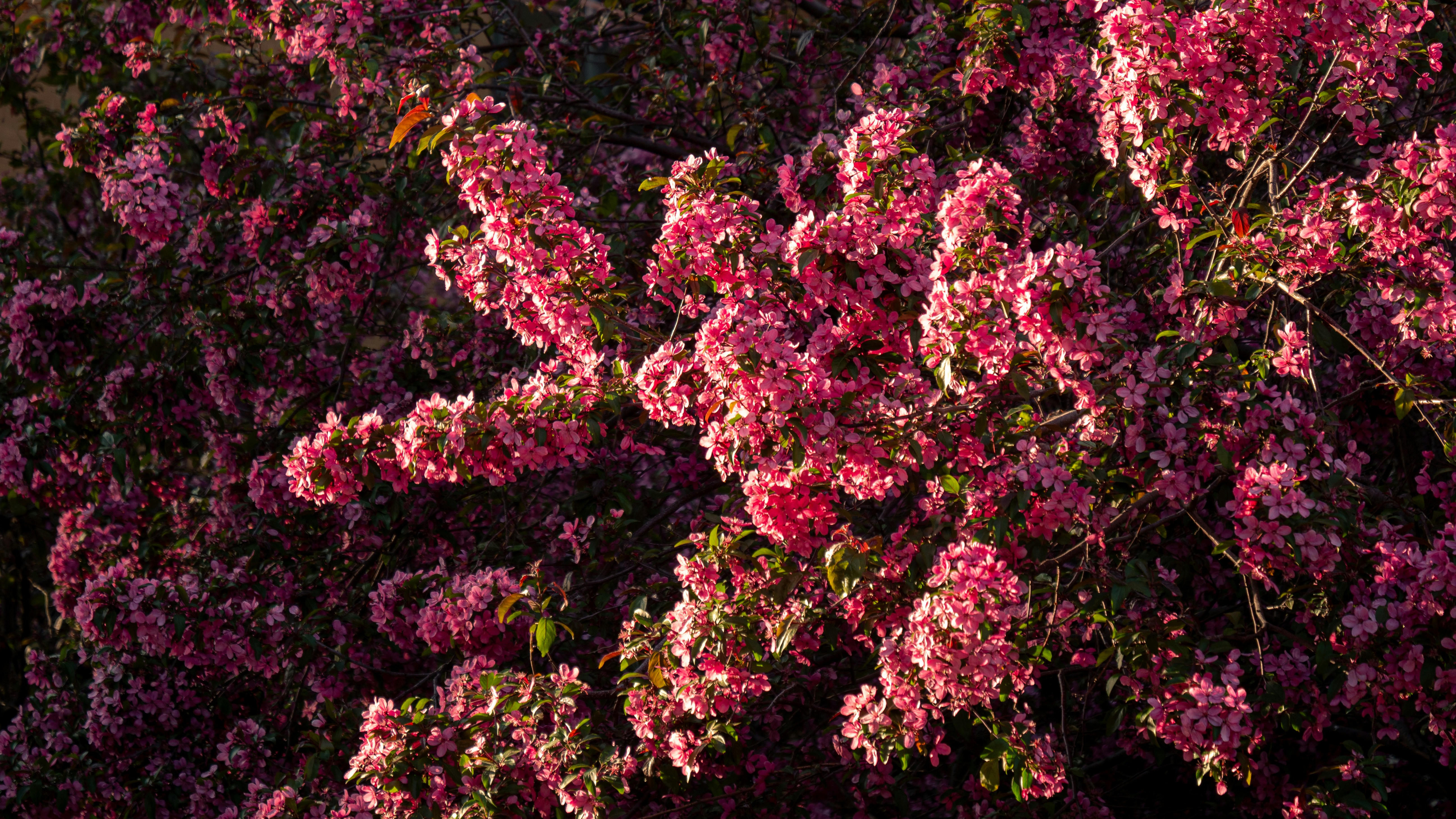 Photo by storybyphil