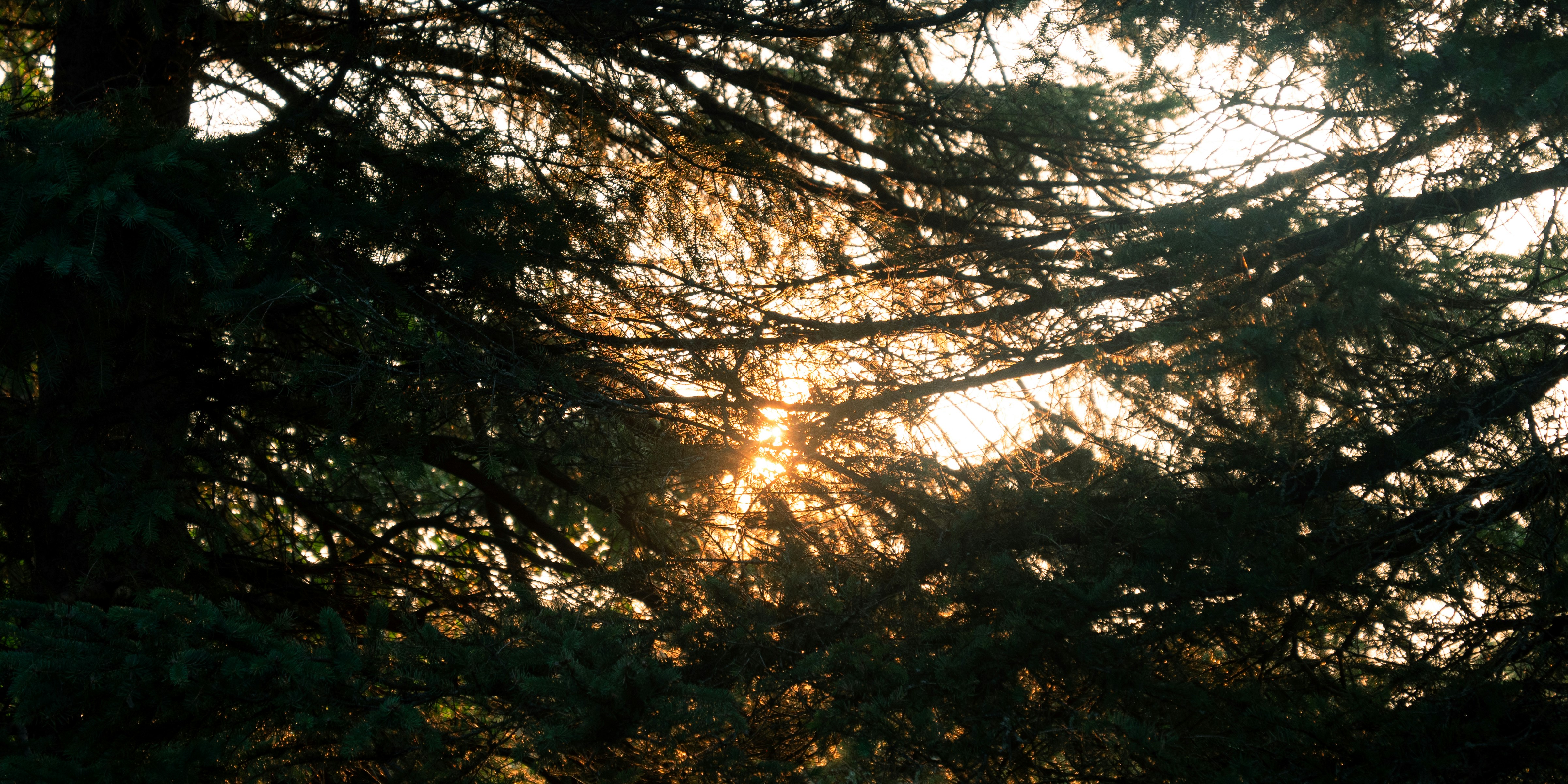 Photo by storybyphil