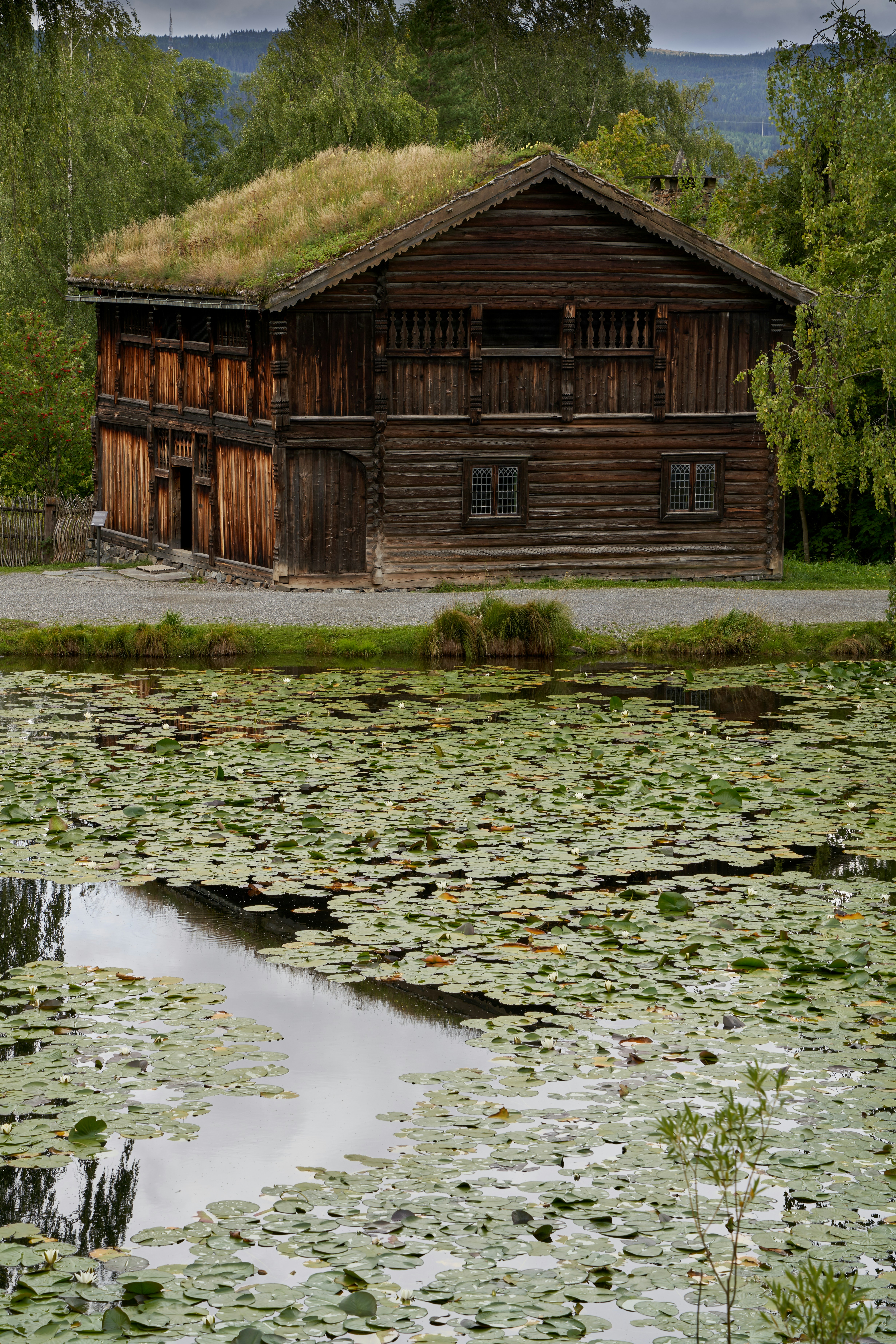 A building with a grass roof and a pond in front of it