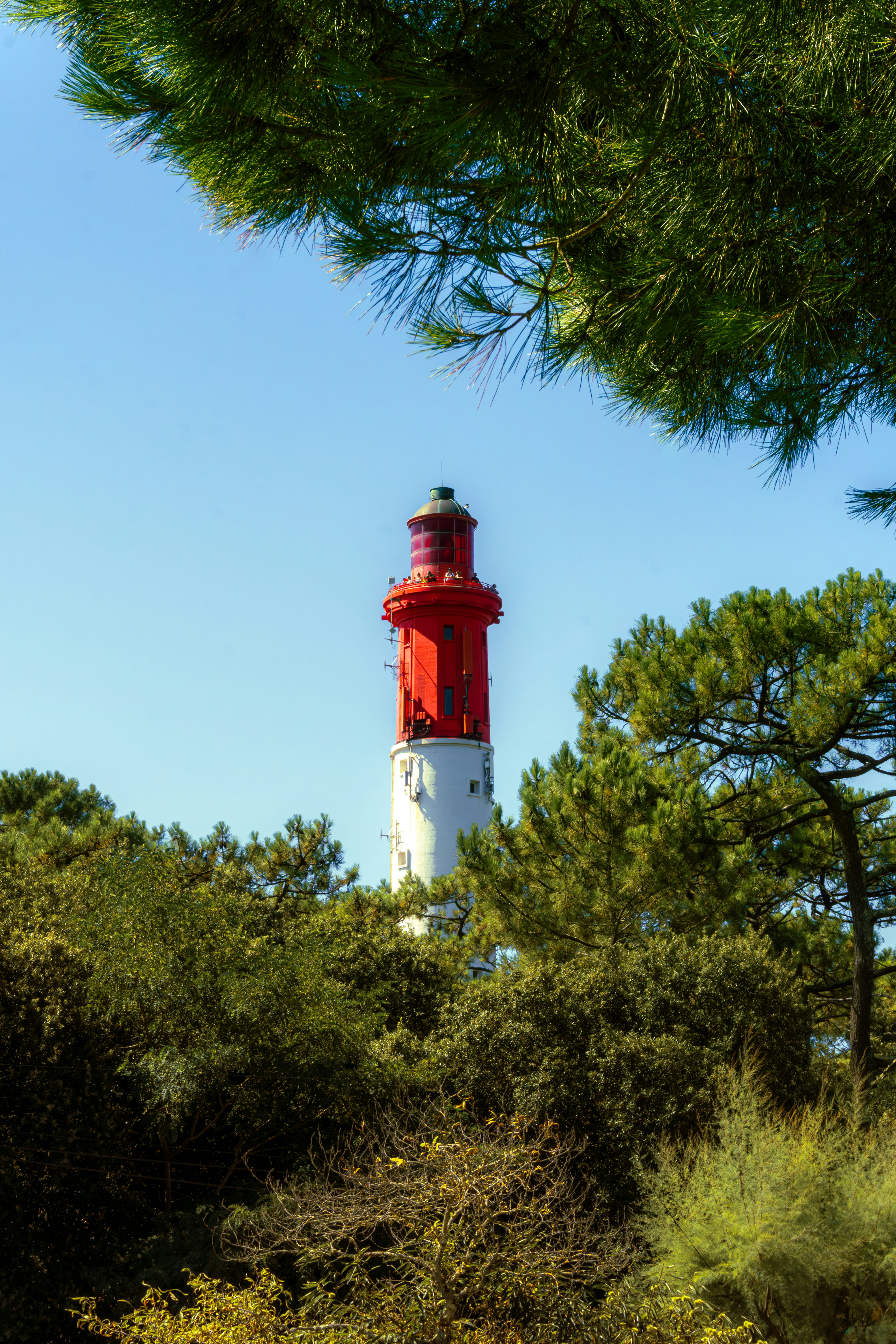 french country wallpaper, wallpaper, French Country Area Rugs: Style for Your Attic 5