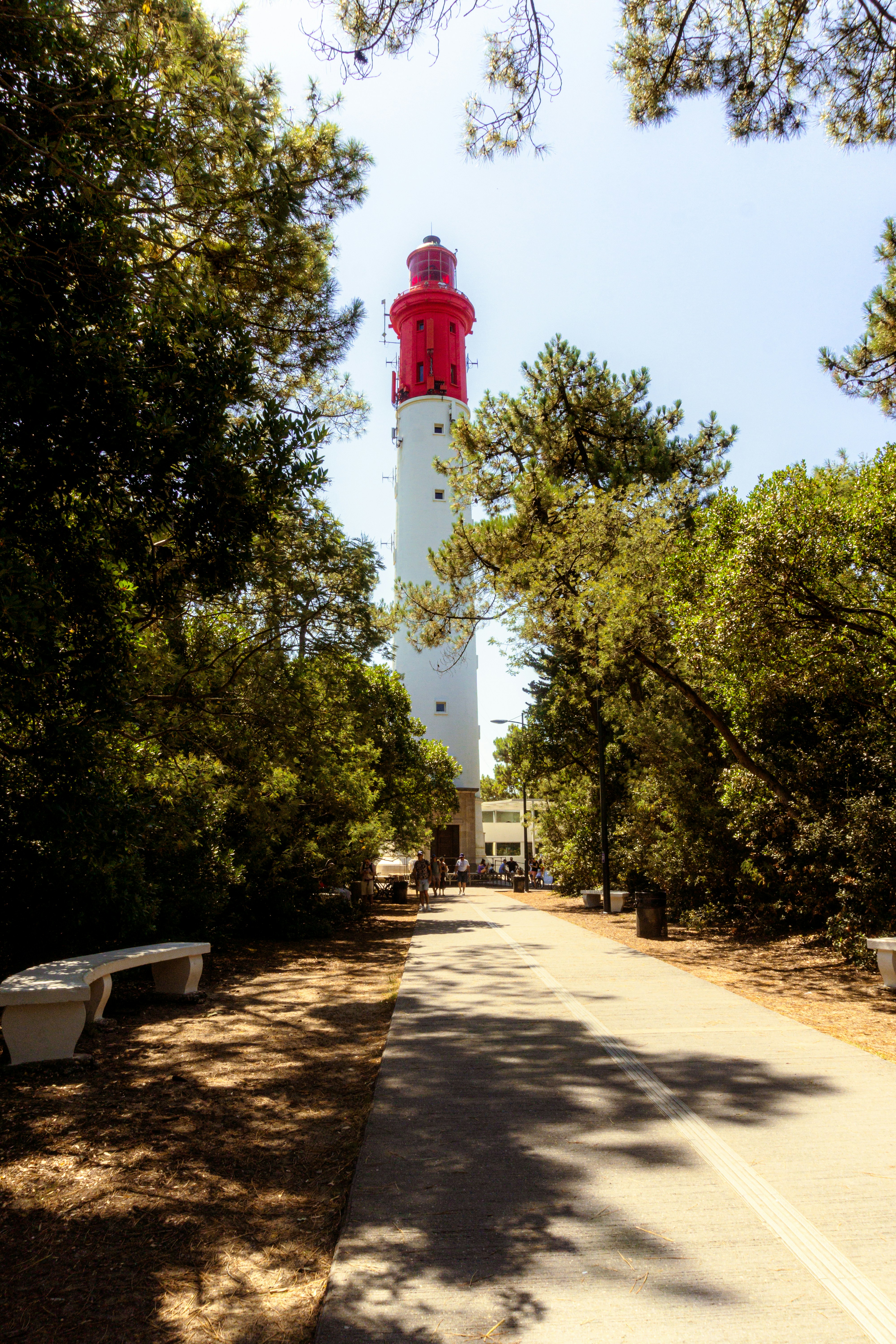 french country wallpaper, wallpaper, French Country Area Rugs: Style for Your Attic 2