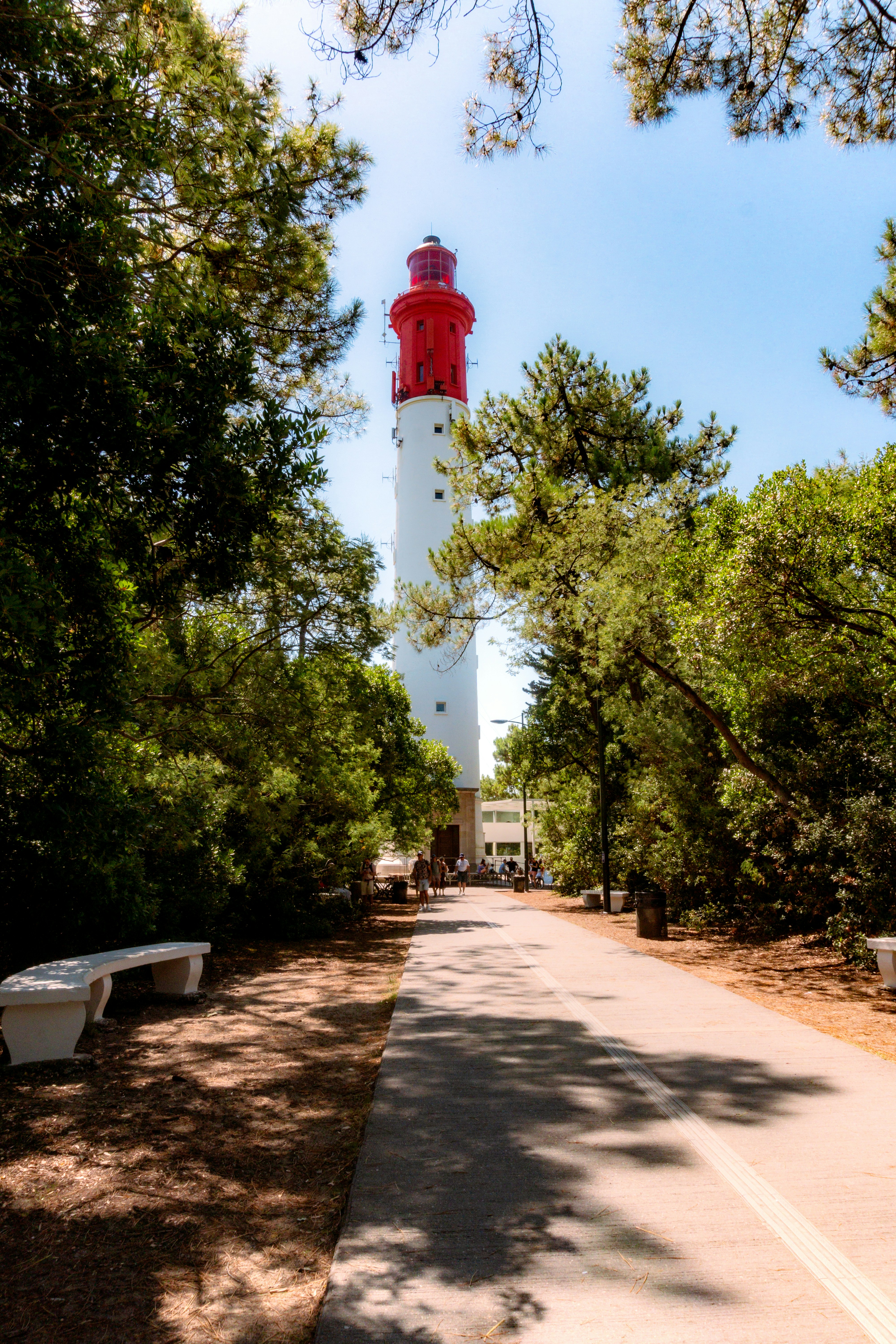 french country wallpaper, wallpaper, French Country Area Rugs: Style for Your Attic 4