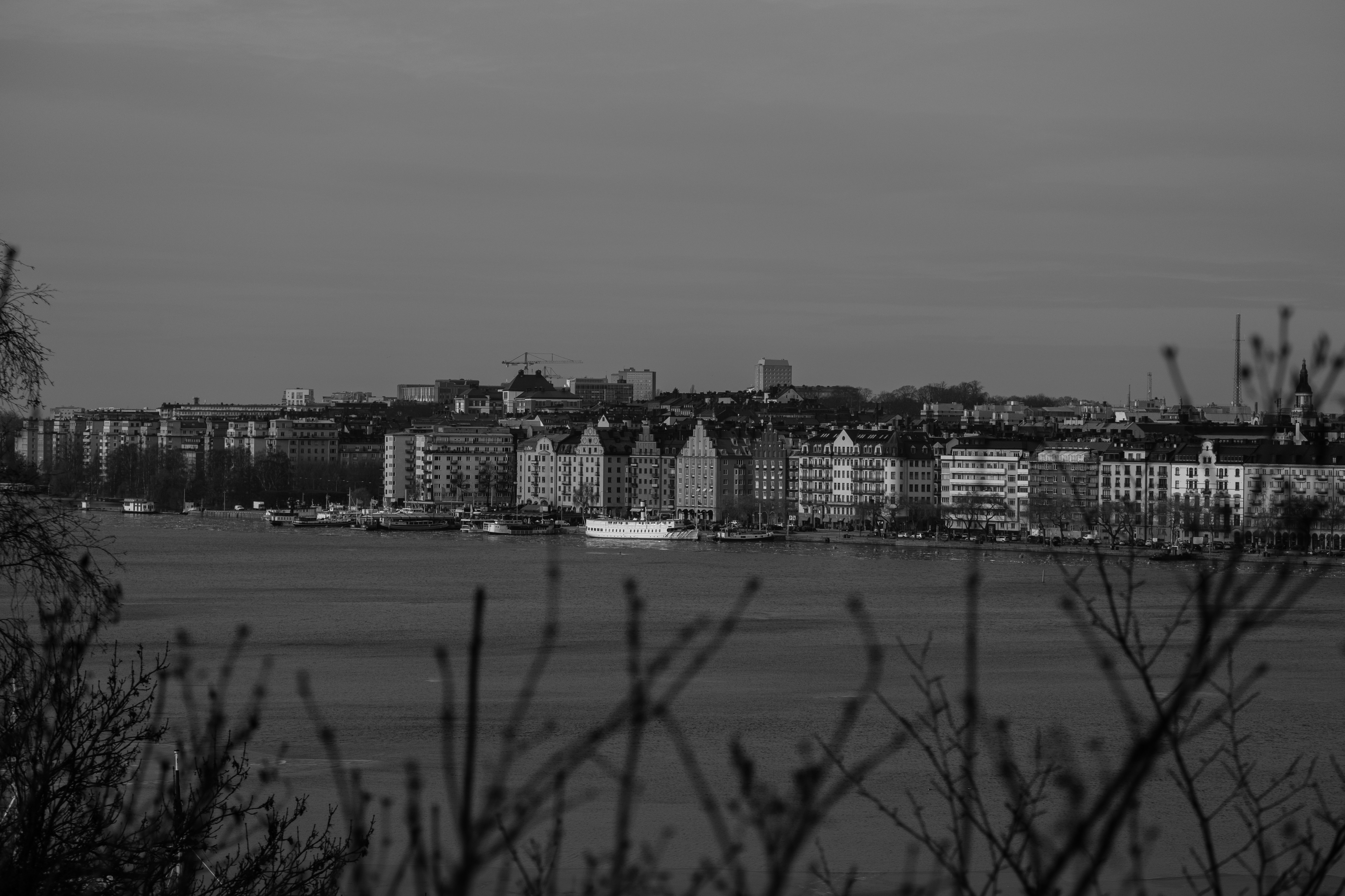 Photo by efeyagizs