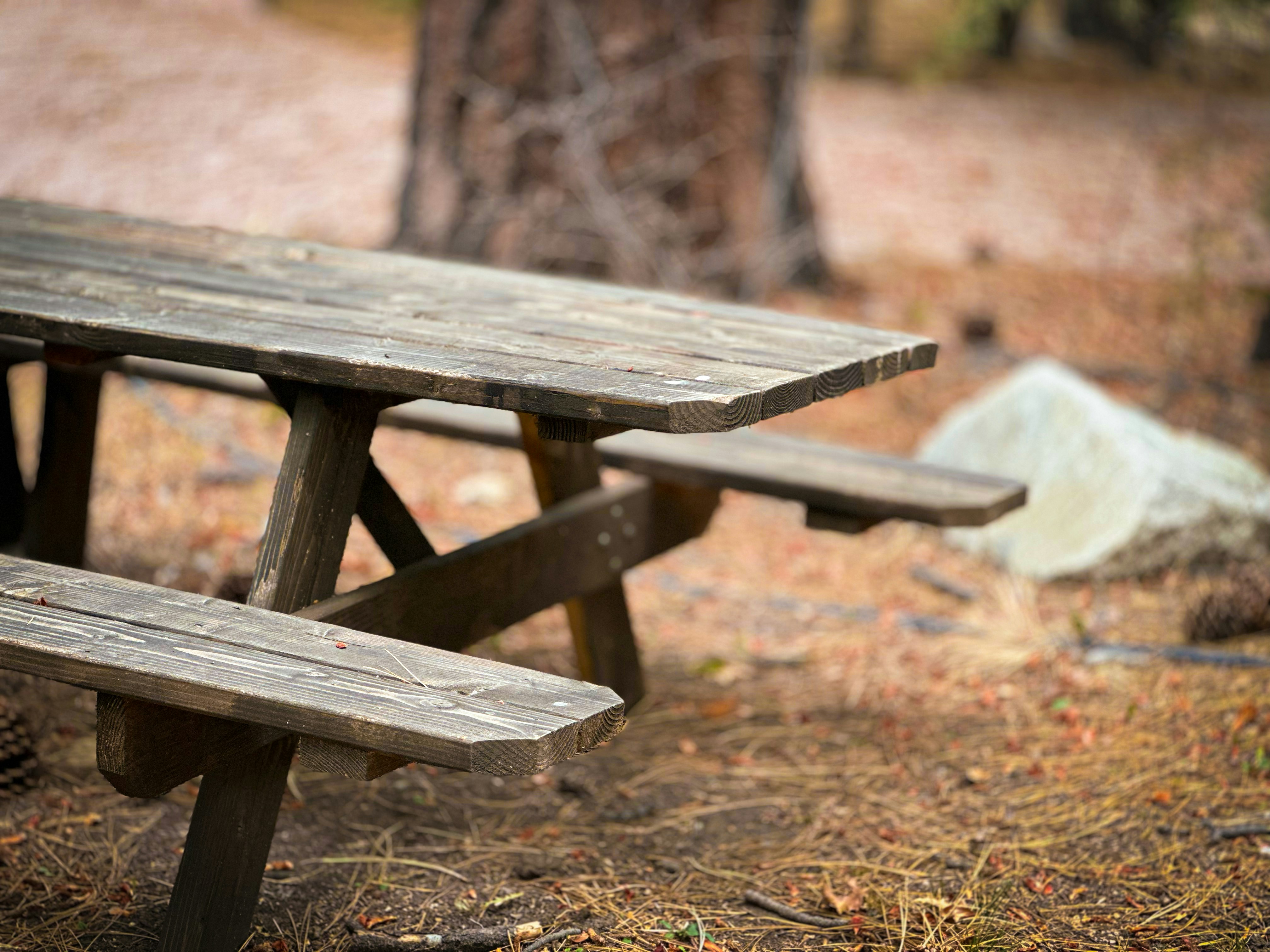 Photo by joshua_chehov