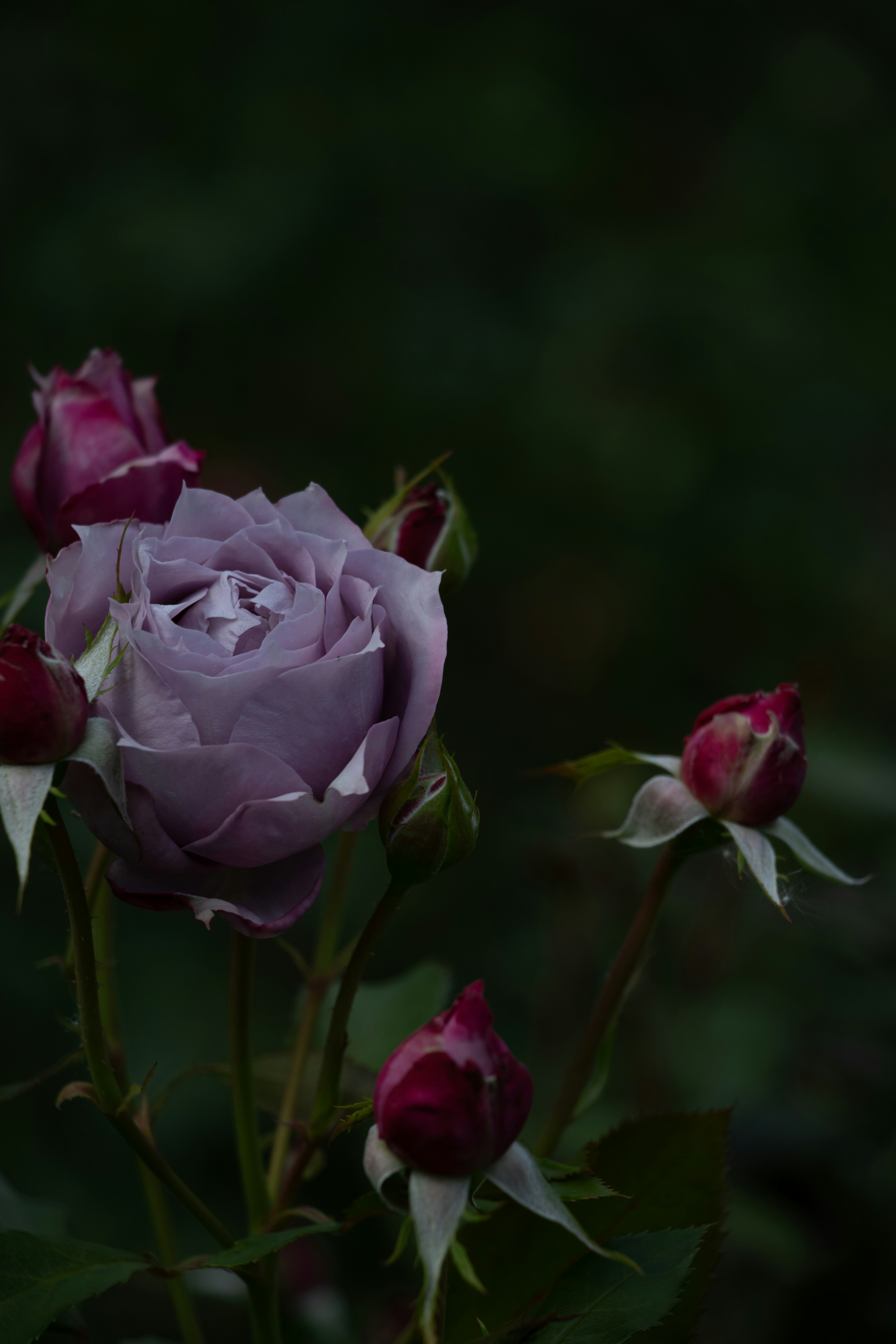 Photo by irina_chishkova