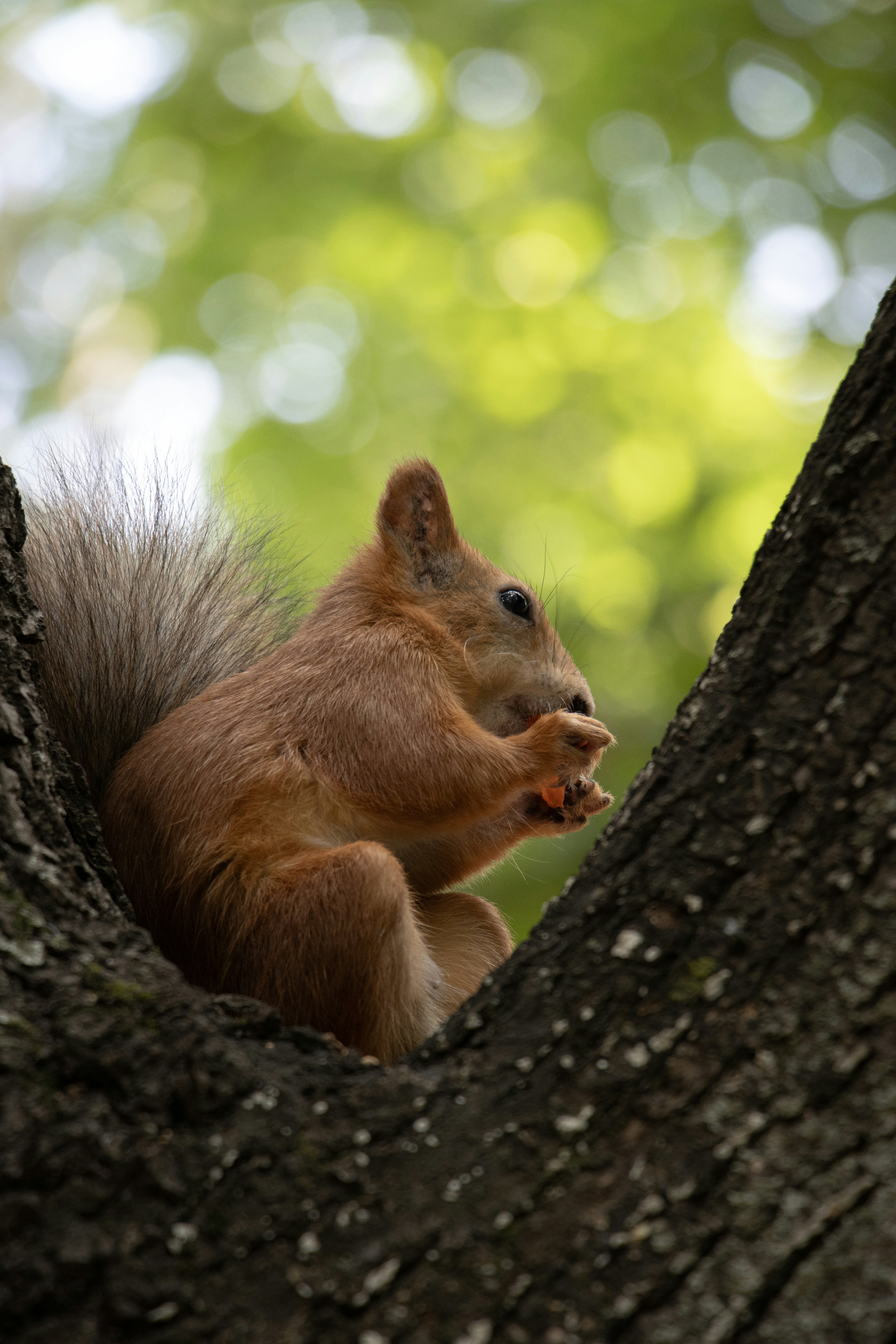 Photo by irina_chishkova