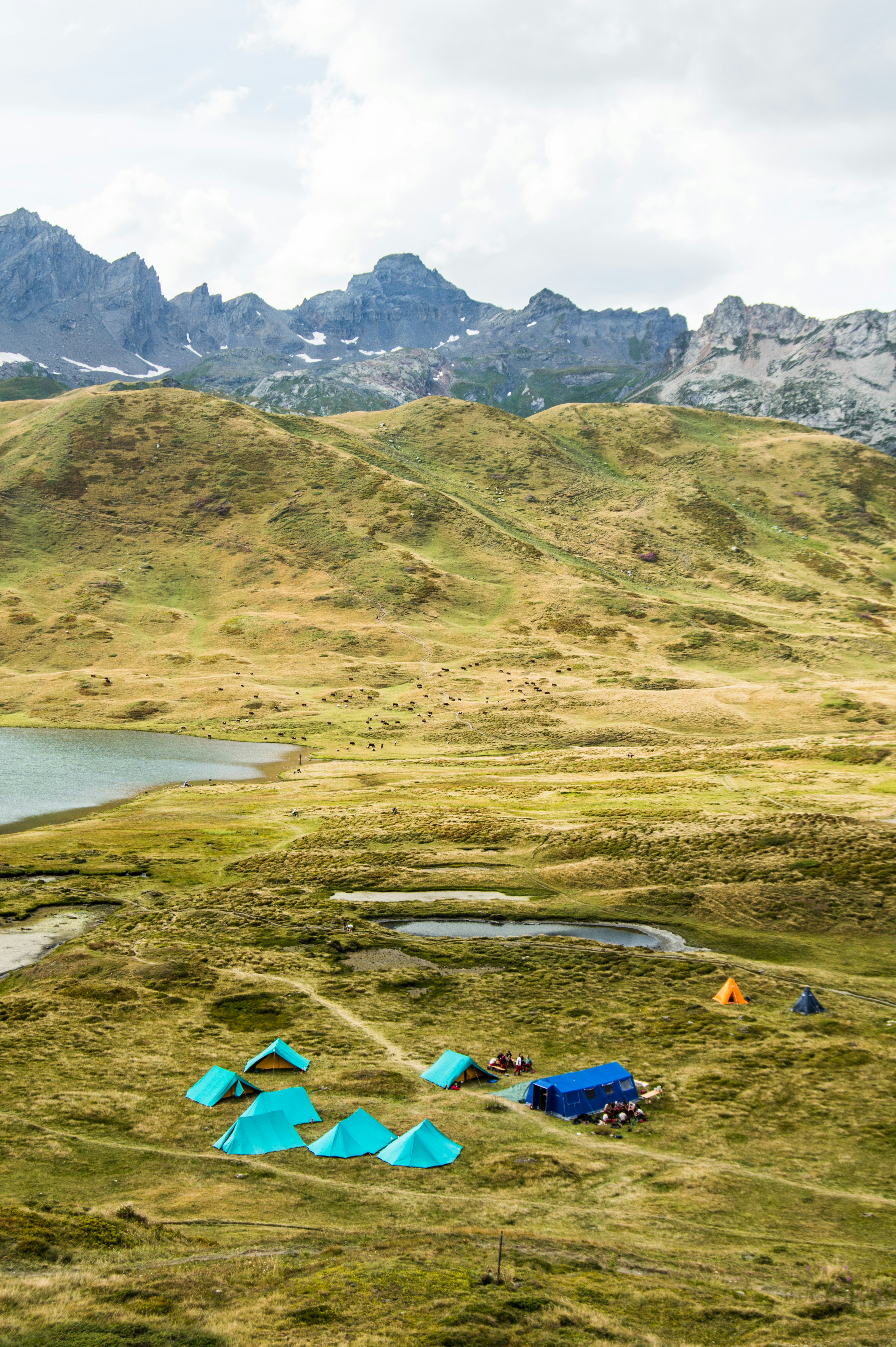9 Snacks to Pack for Alpine Peak Camping Adventures