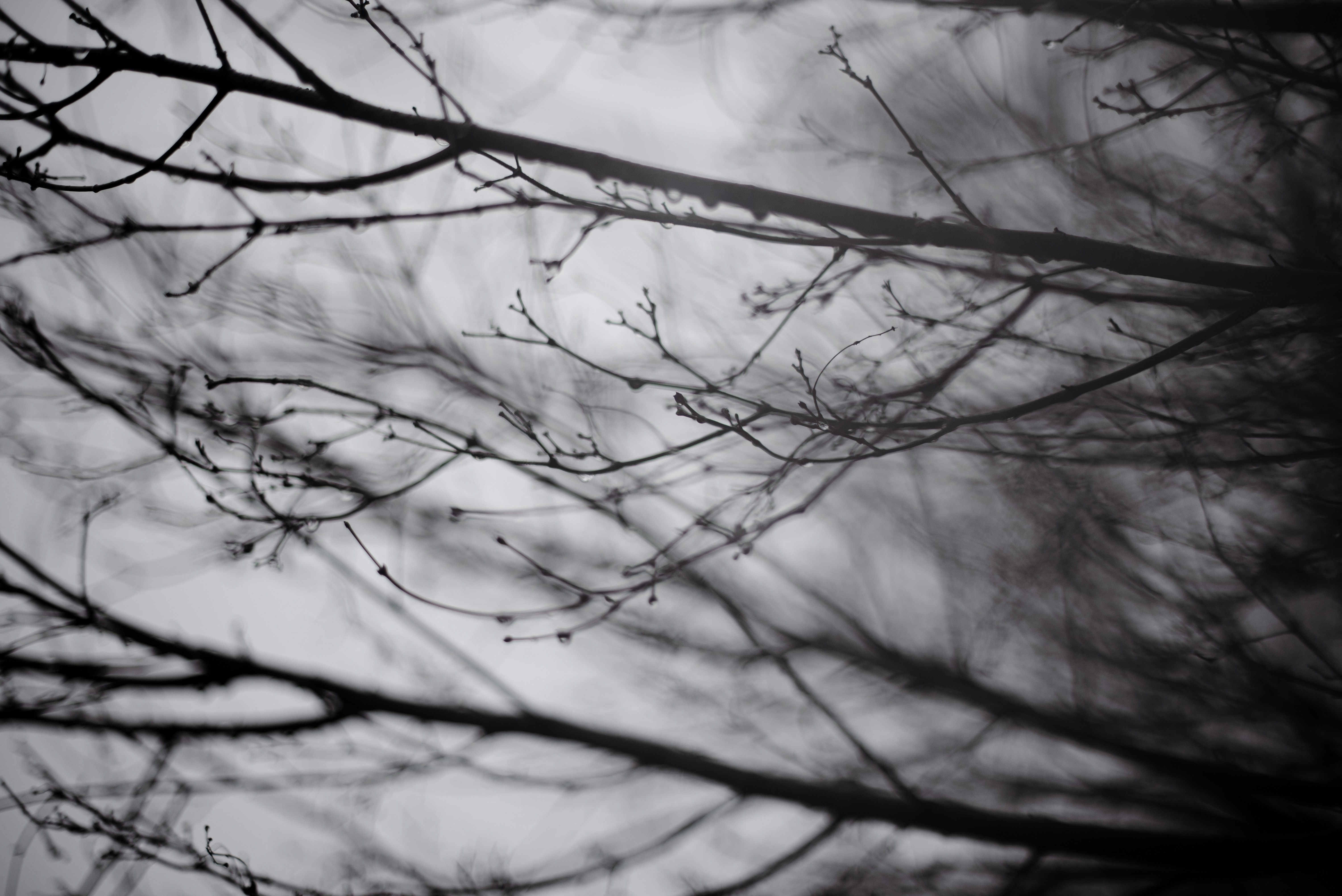 Photo by niktravelstheworld