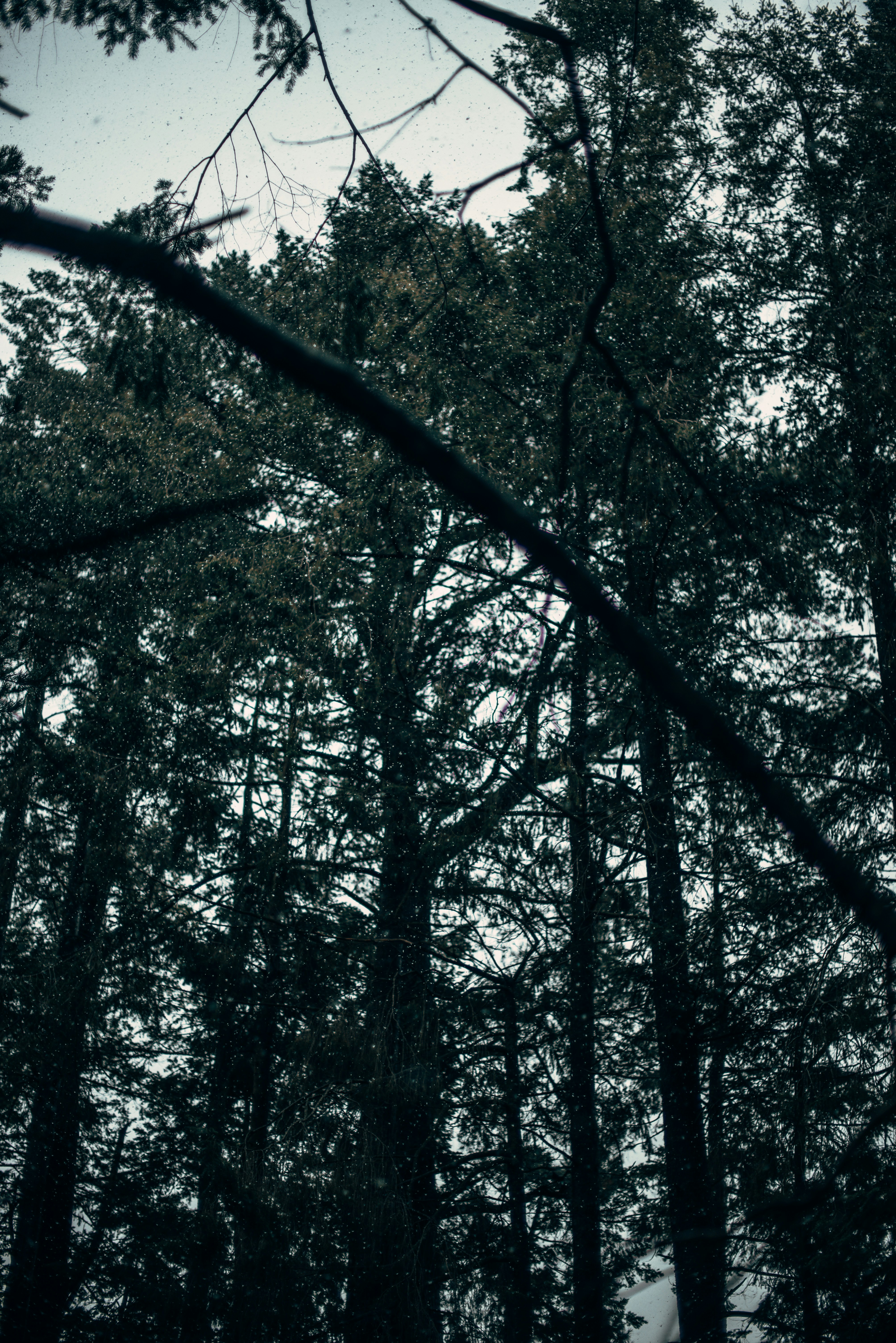 Photo by niktravelstheworld