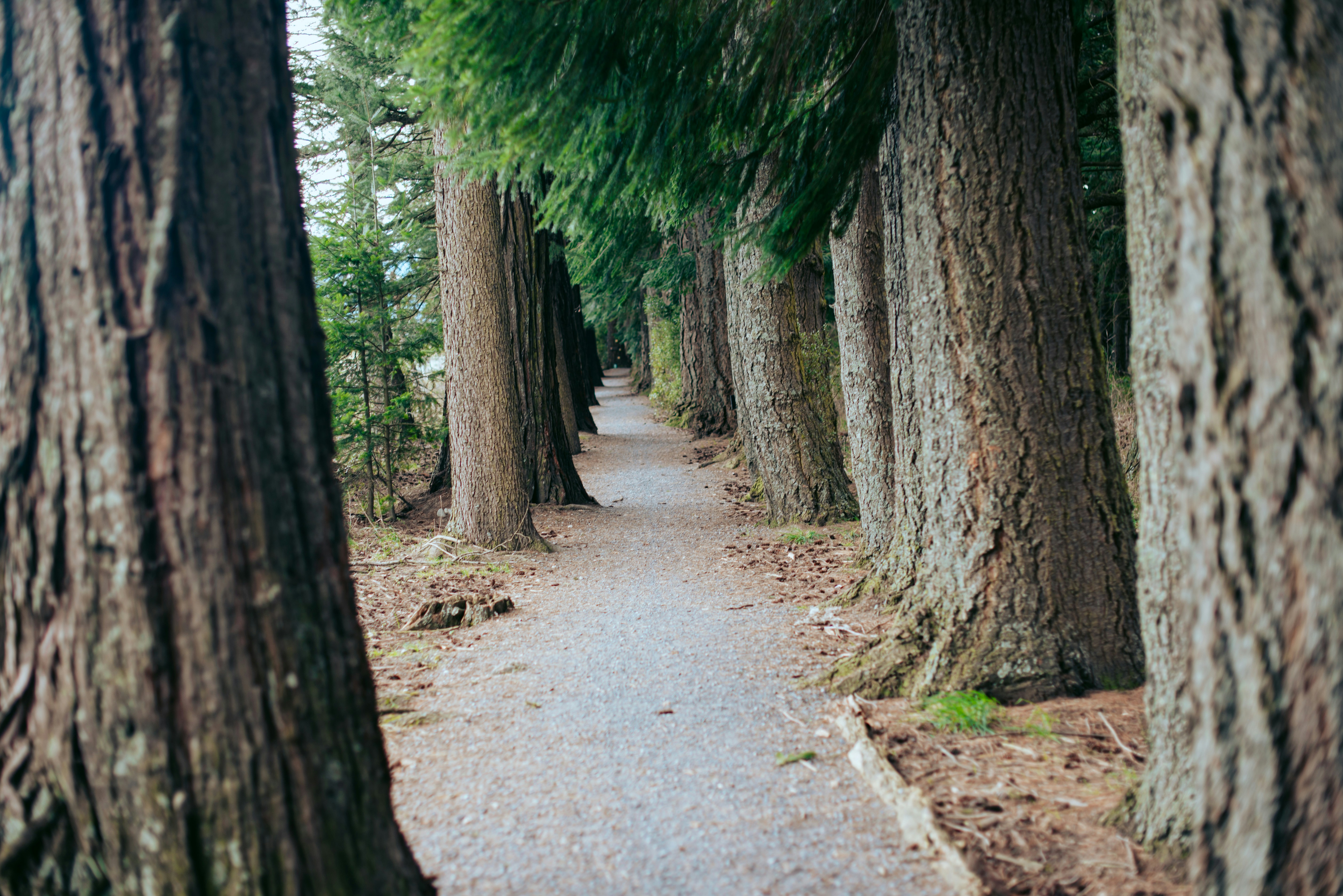 Photo by niktravelstheworld