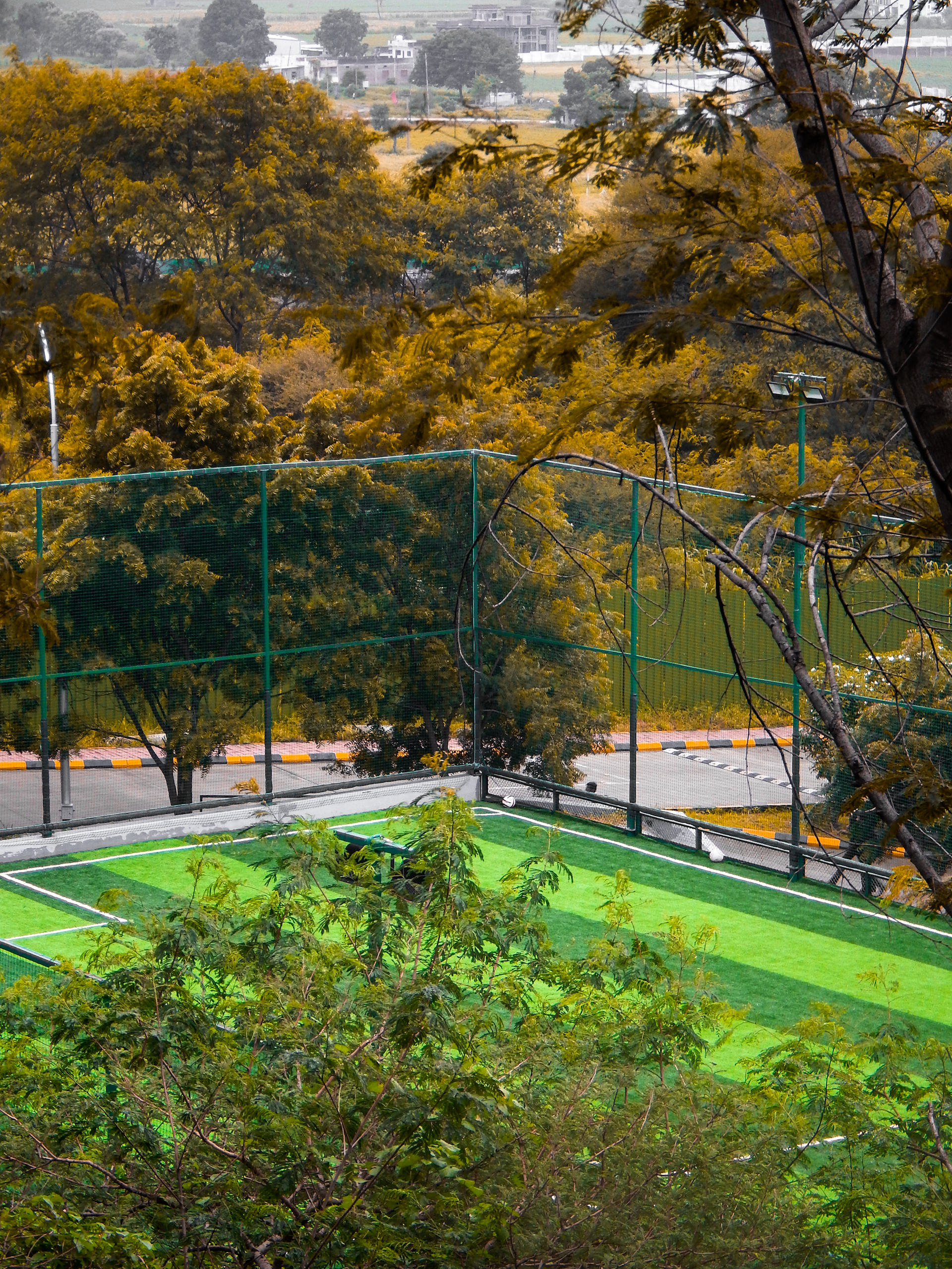 A tennis court surrounded by trees and bushes